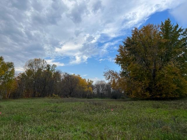 View of Land at 17054 Lexington Avenue, Ham Lake MN 55304, Ham Lake - Mike Wilen | Minnesota Team Real Estate