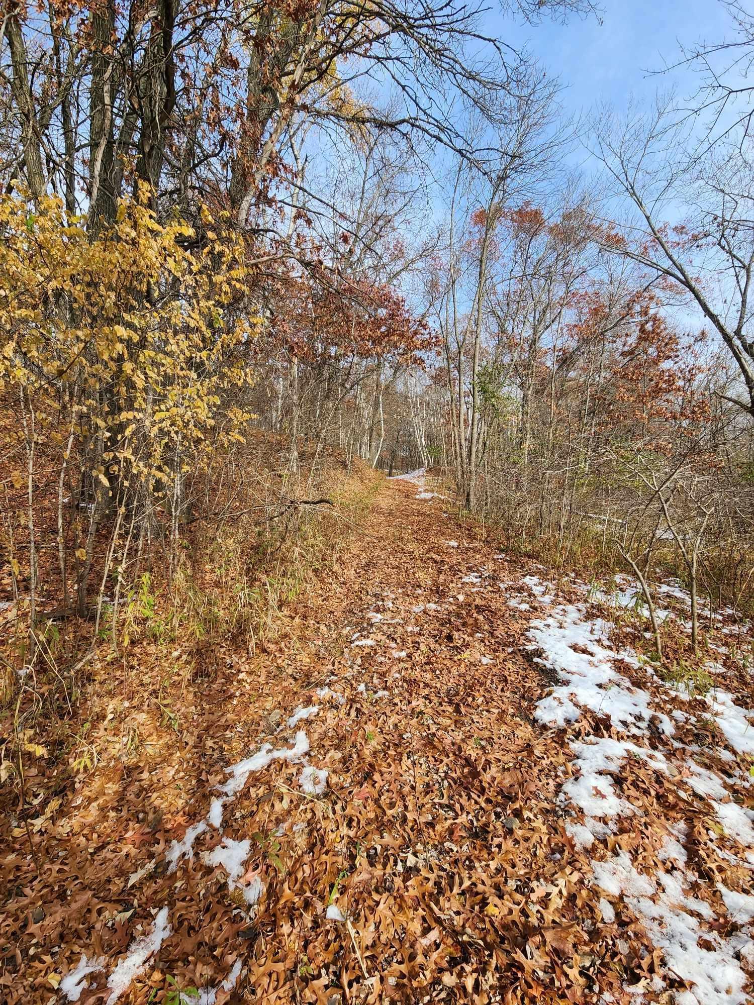 View of Land at XX Kerry Street, Cambridge MN 55008, Cambridge - Mike Wilen | Minnesota Team Real Estate