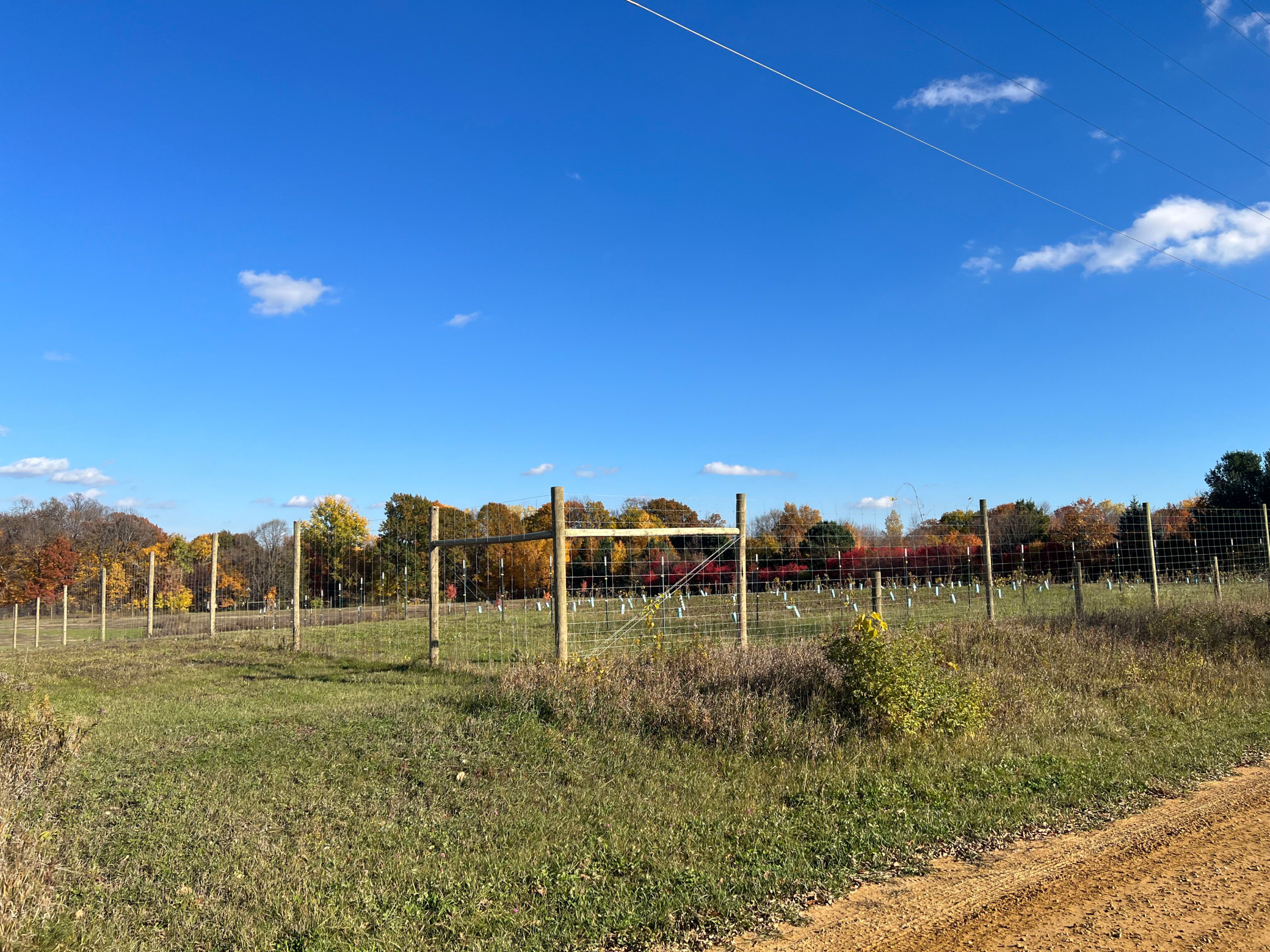 View of Land at 3202X Upland Road, Taylors Falls MN 55084, Taylors Falls - Mike Wilen | Minnesota Team Real Estate