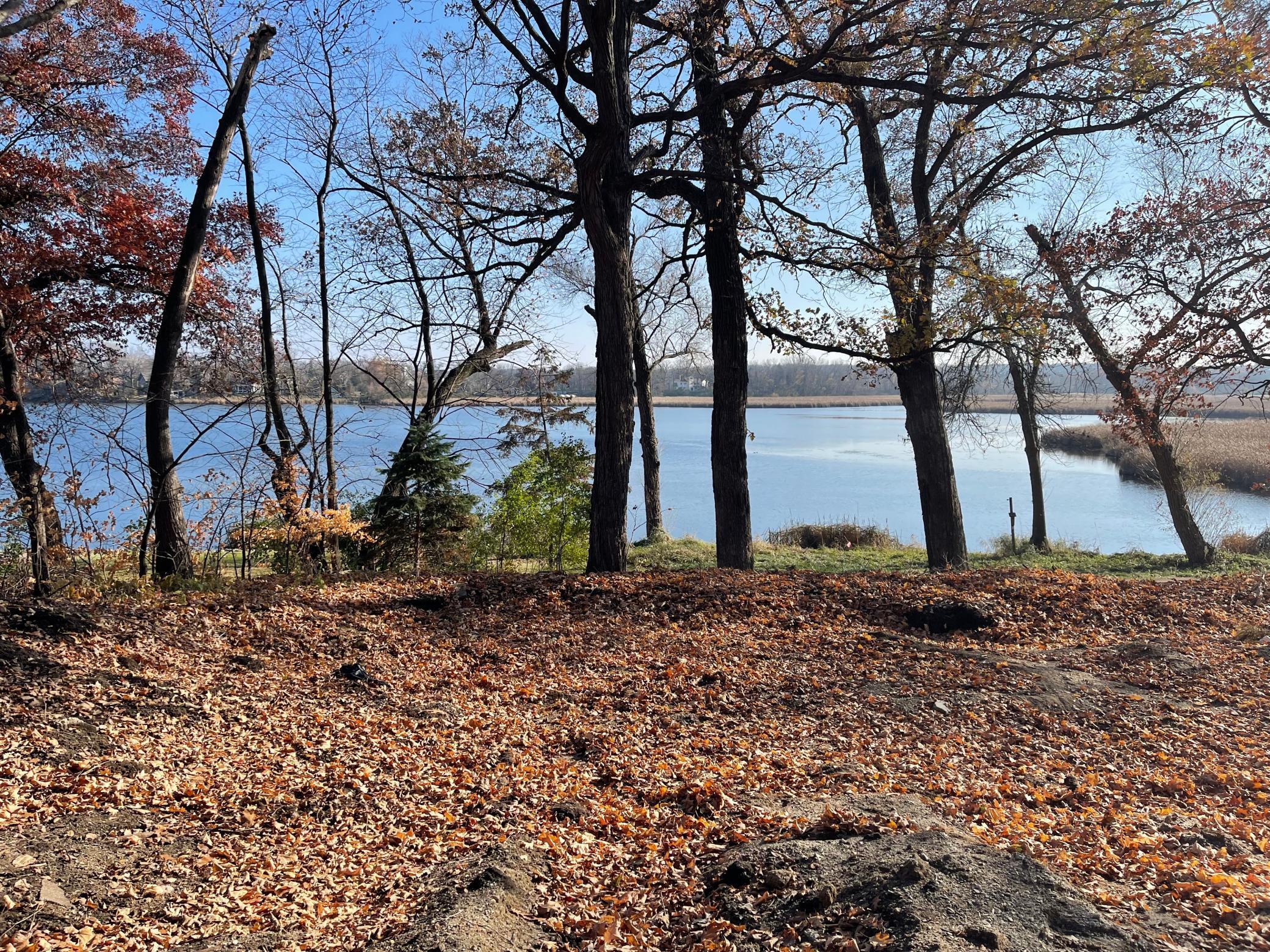 View of Land at 7071 Halstead Drive, Minnetrista MN 55364, Minnetrista - Mike Wilen | Minnesota Team Real Estate