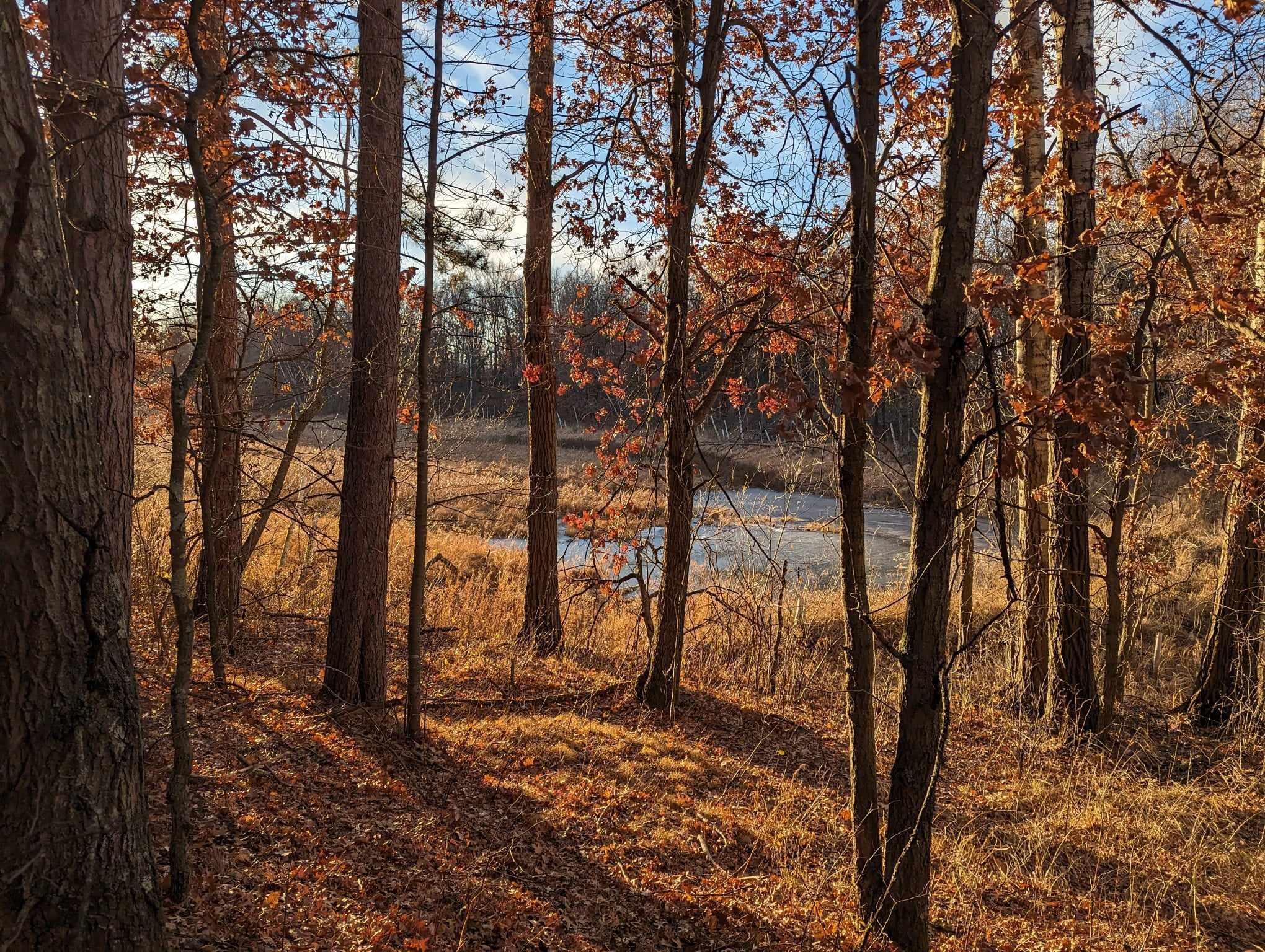 View of Land at 96xx 285th Avenue, North Branch MN 55056, North Branch - Mike Wilen | Minnesota Team Real Estate