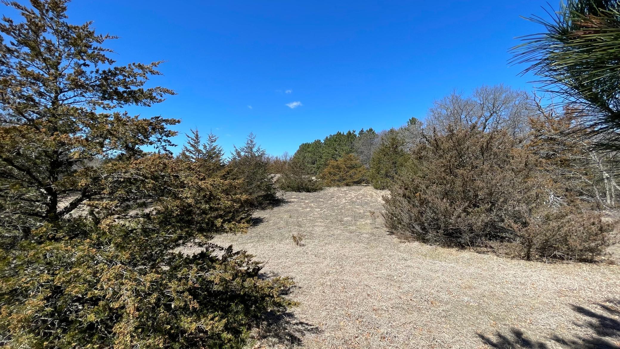 View of Land at XXX 232nd Avenue, Big Lake MN 55309, Big Lake - Mike Wilen | Minnesota Team Real Estate