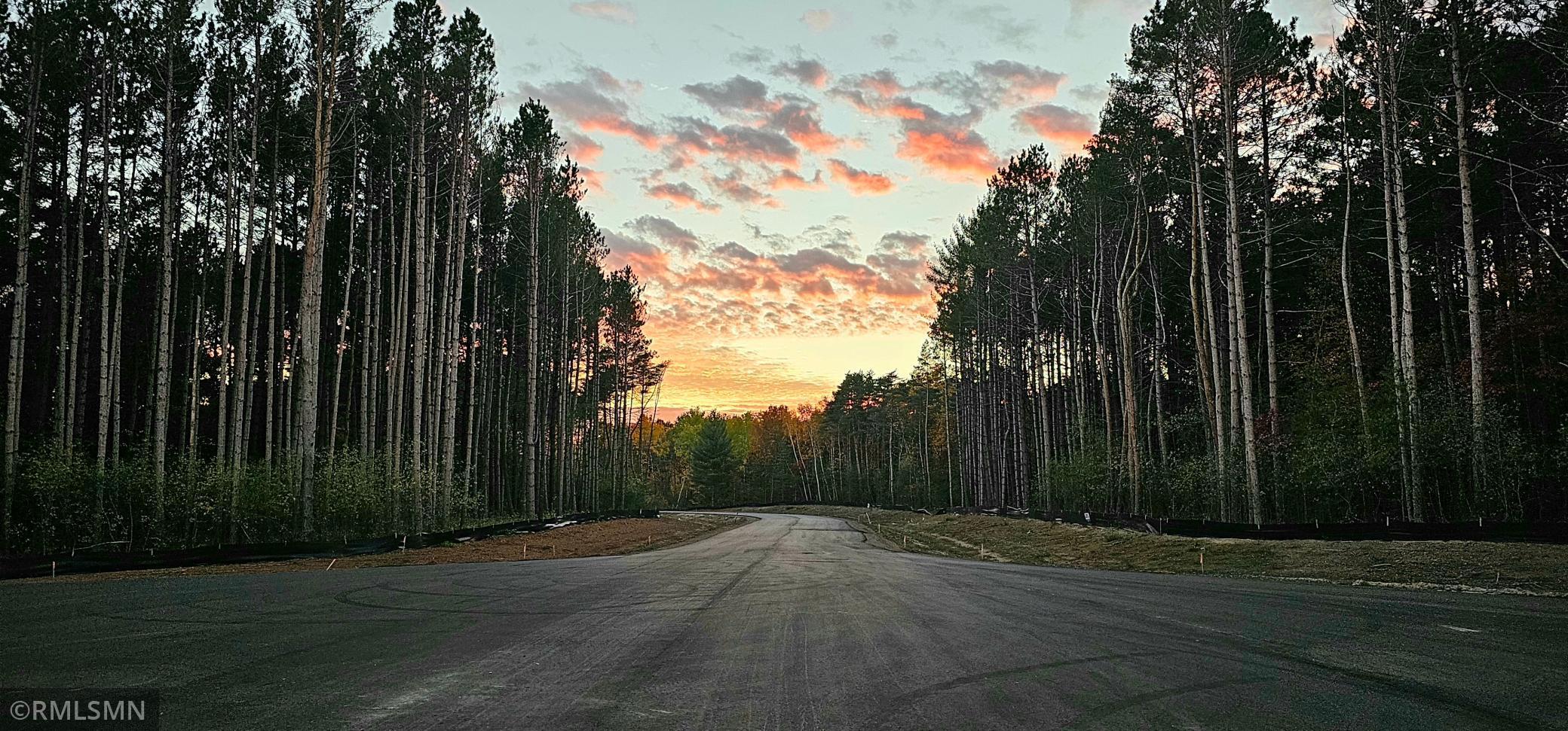 View of Land at Lot 9 Dahlia Ct, Isanti MN 55040, Isanti - Mike Wilen | Minnesota Team Real Estate
