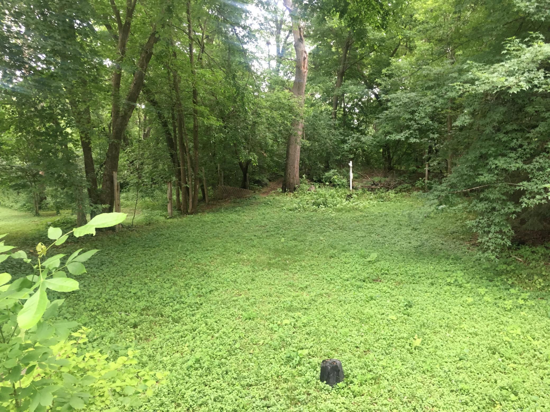 View of Land at 420 William Street, Stillwater MN 55082, Stillwater - Mike Wilen | Minnesota Team Real Estate