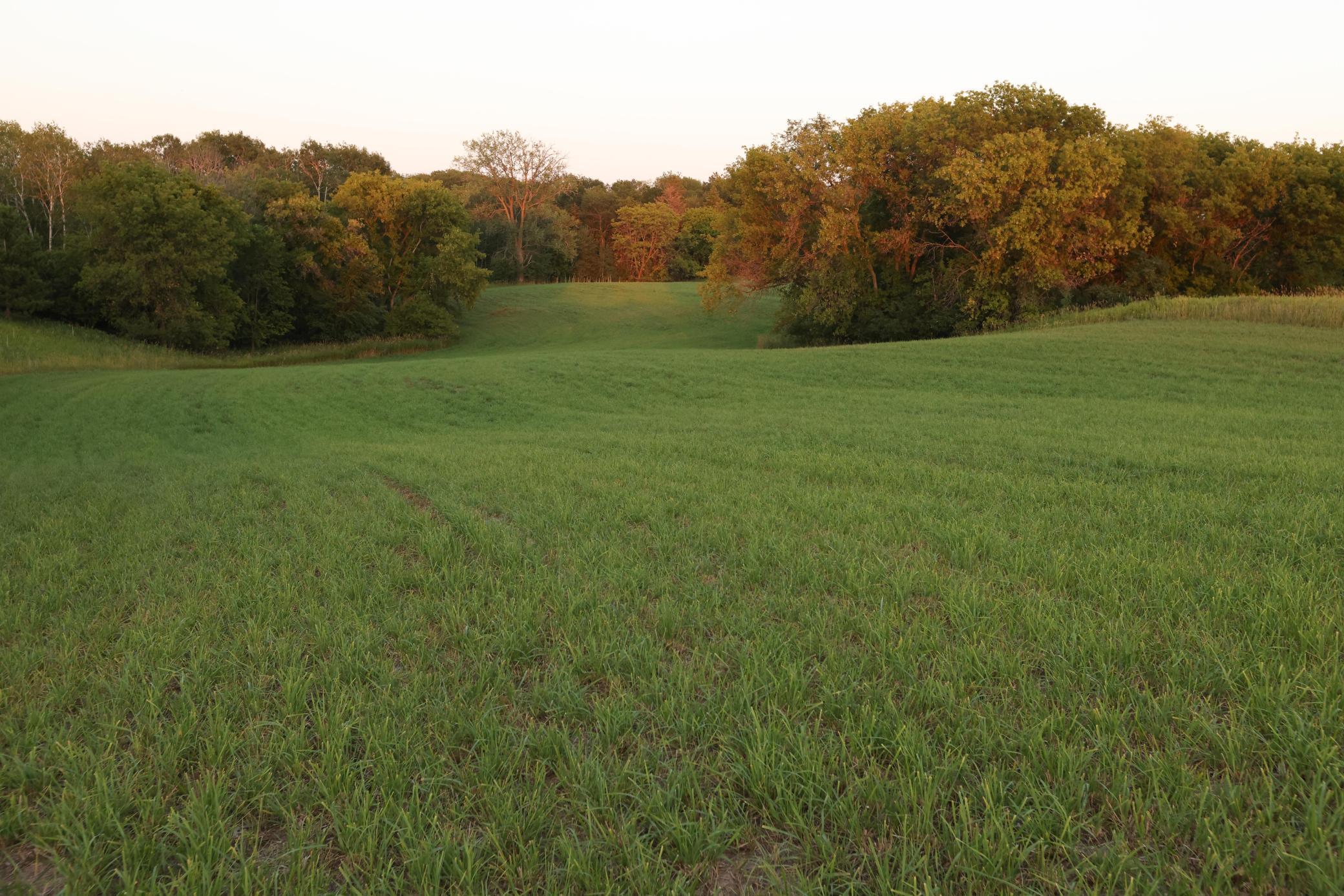 View of Land at xxxxx May Avenue, Marine On Saint Croix MN 55047, Marine On Saint Croix - Mike Wilen | Minnesota Team Real Estate