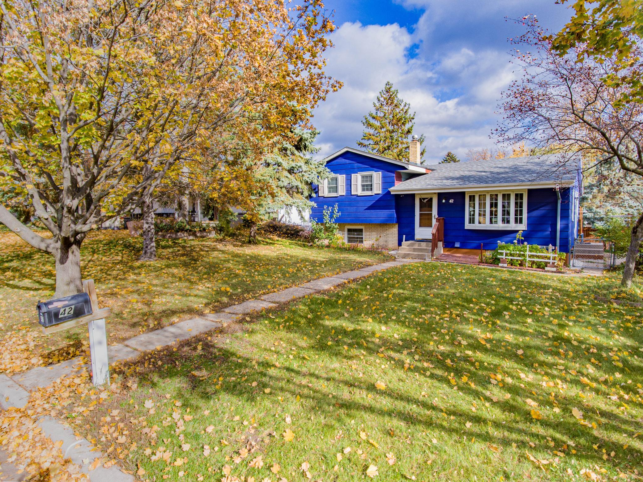 View of Residential at 42 White Bear Avenue, Saint Paul MN 55106, Saint Paul - Mike Wilen | Minnesota Team Real Estate