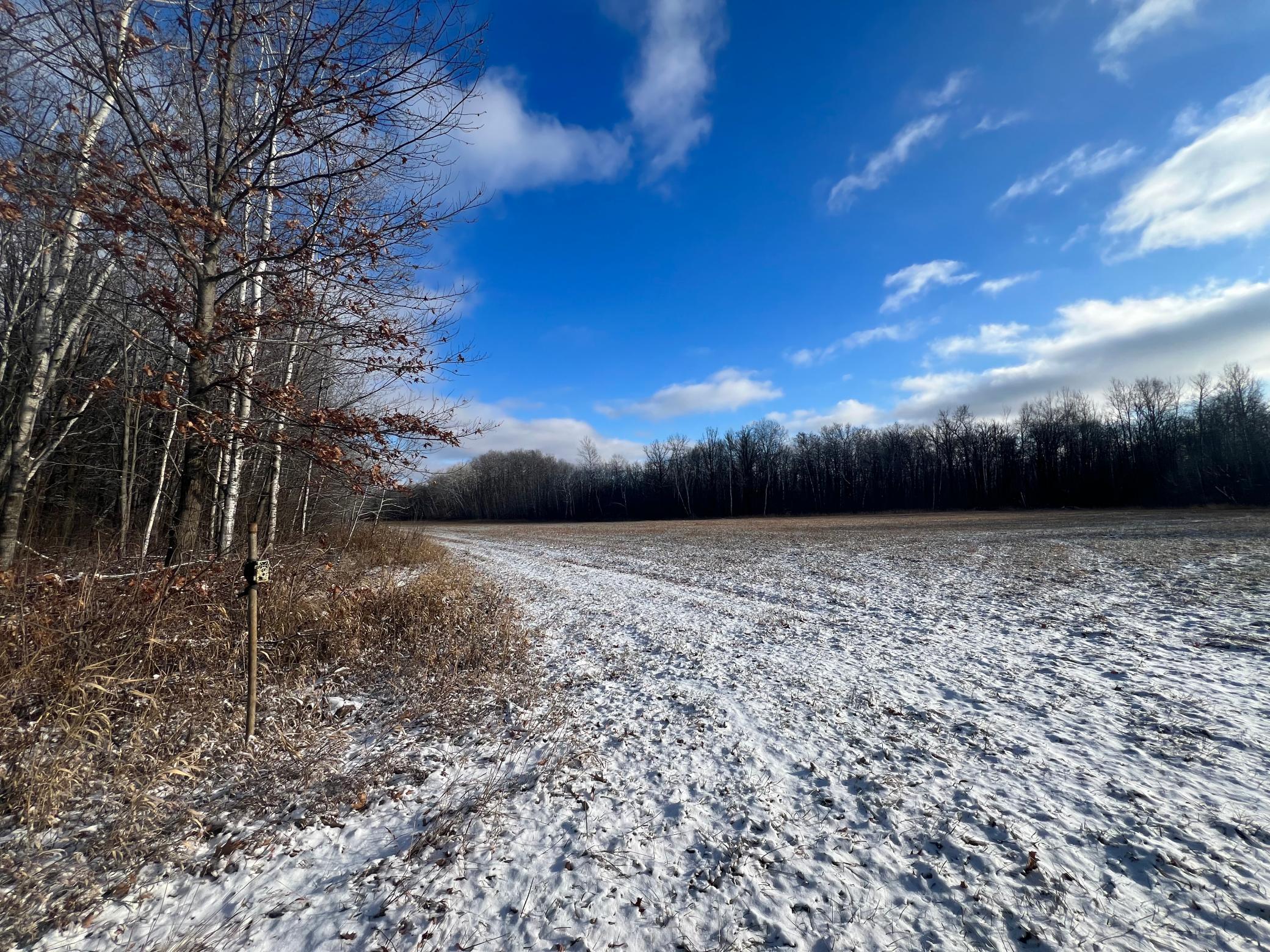 View of Land at Unassigned Lynx Road, Milaca MN 56353, Milaca - Mike Wilen | Minnesota Team Real Estate