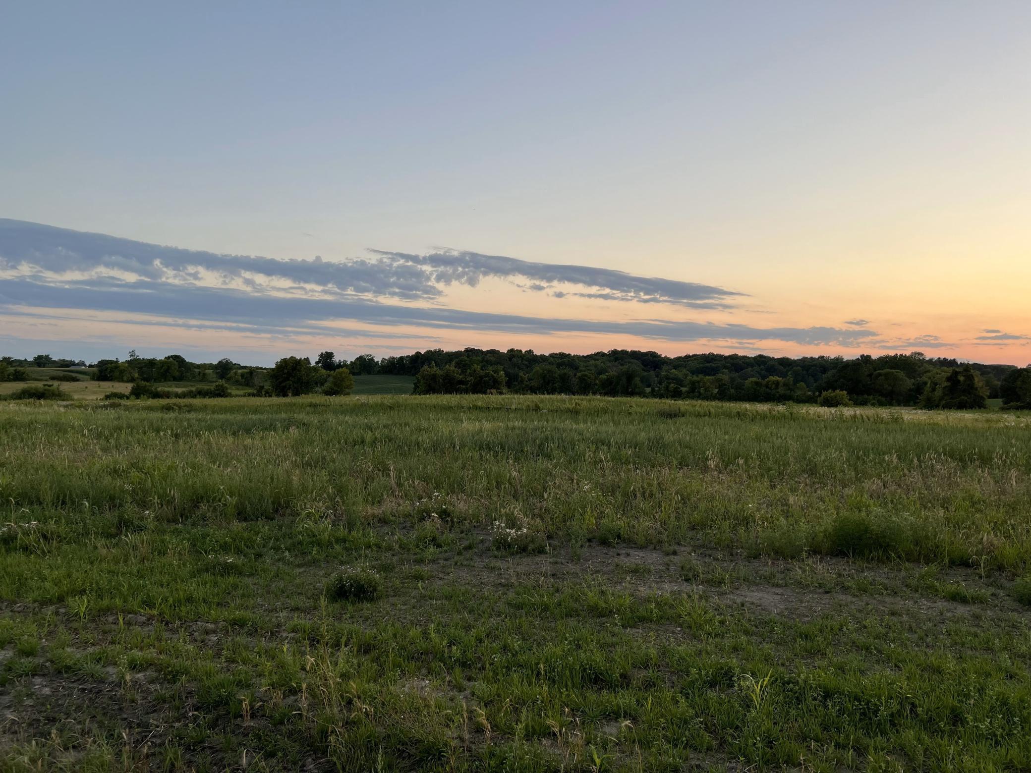 View of Land at 8865 Grace Lane, Loretto MN 55357, Loretto - Mike Wilen | Minnesota Team Real Estate