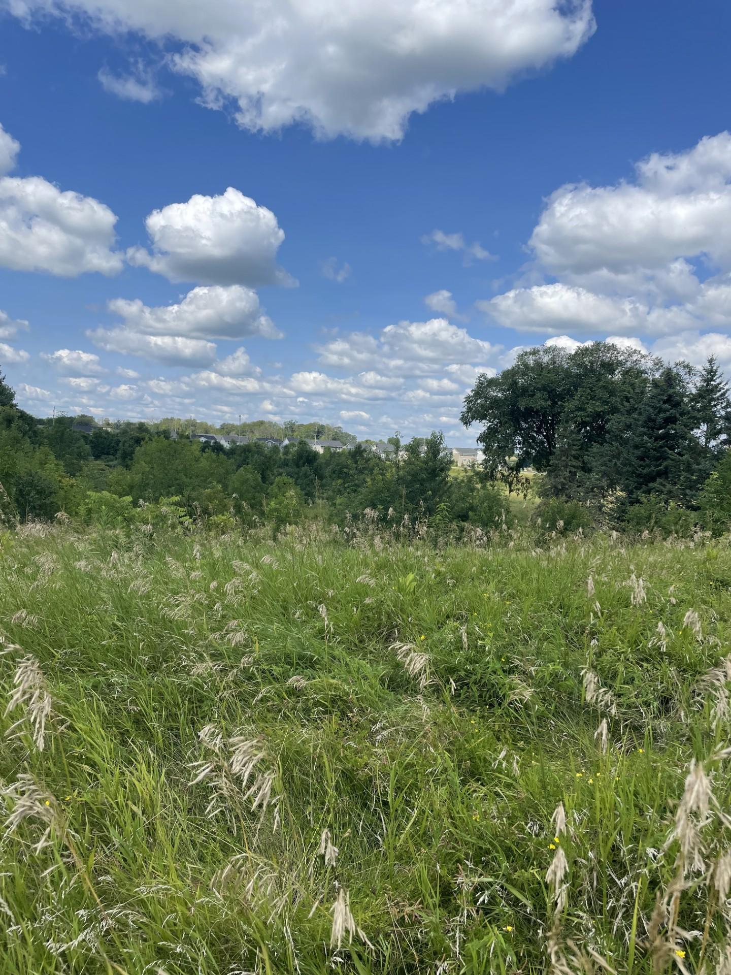 View of Land at 6475 Park Trail Road, Corcoran MN 55340, Corcoran - Mike Wilen | Minnesota Team Real Estate