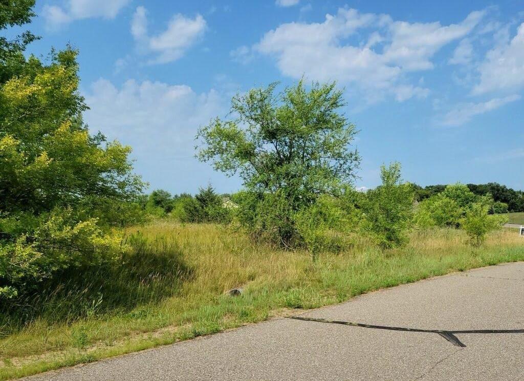 View of Land at L3B1 111th Street, Becker MN 55308, Becker - Mike Wilen | Minnesota Team Real Estate