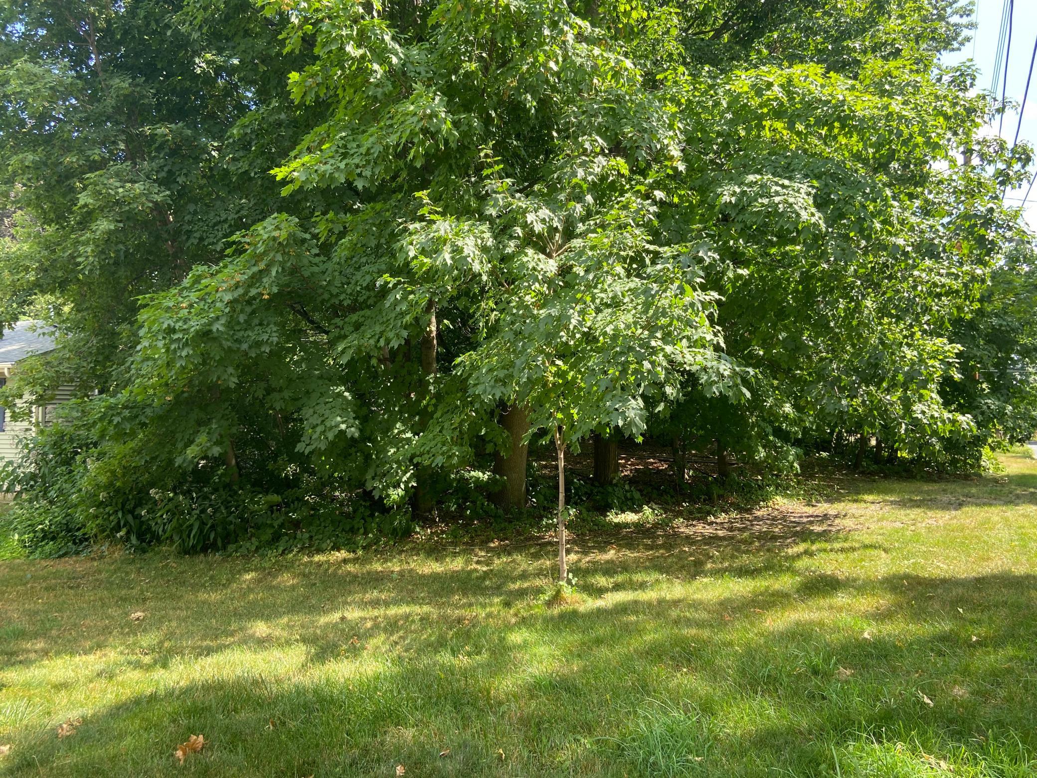 View of Land at 2970 Oaklawn Lane, Mound MN 55364, Mound - Mike Wilen | Minnesota Team Real Estate
