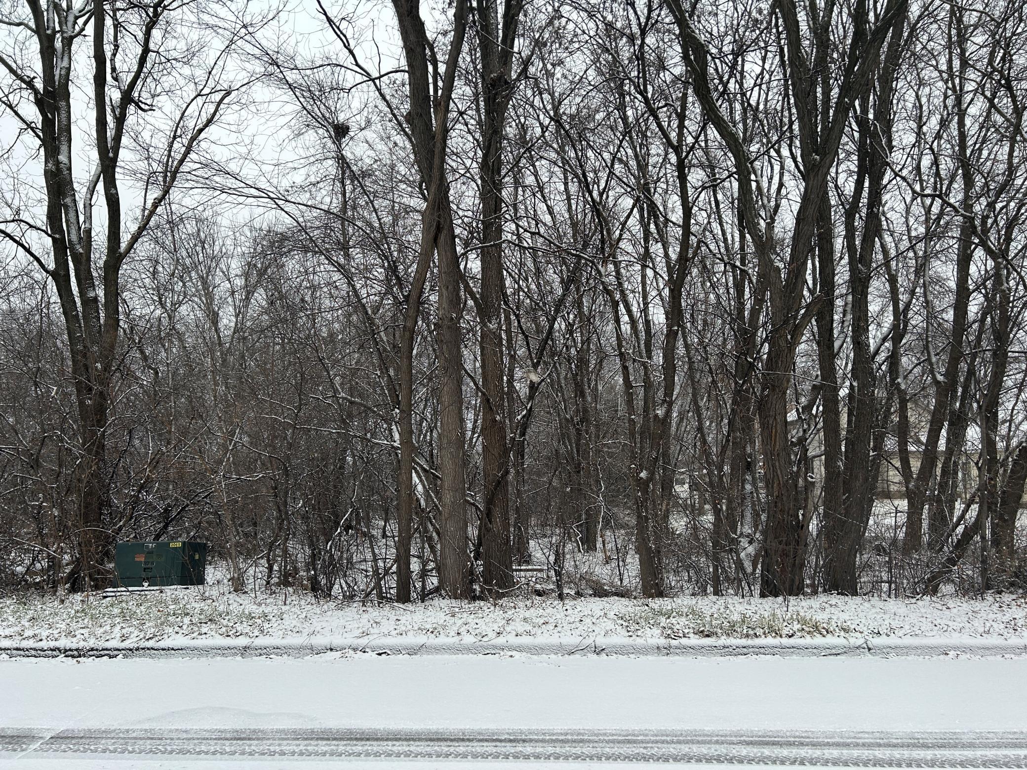 View of Land at xxx Honeytree Drive, Delano MN 55328, Delano - Mike Wilen | Minnesota Team Real Estate