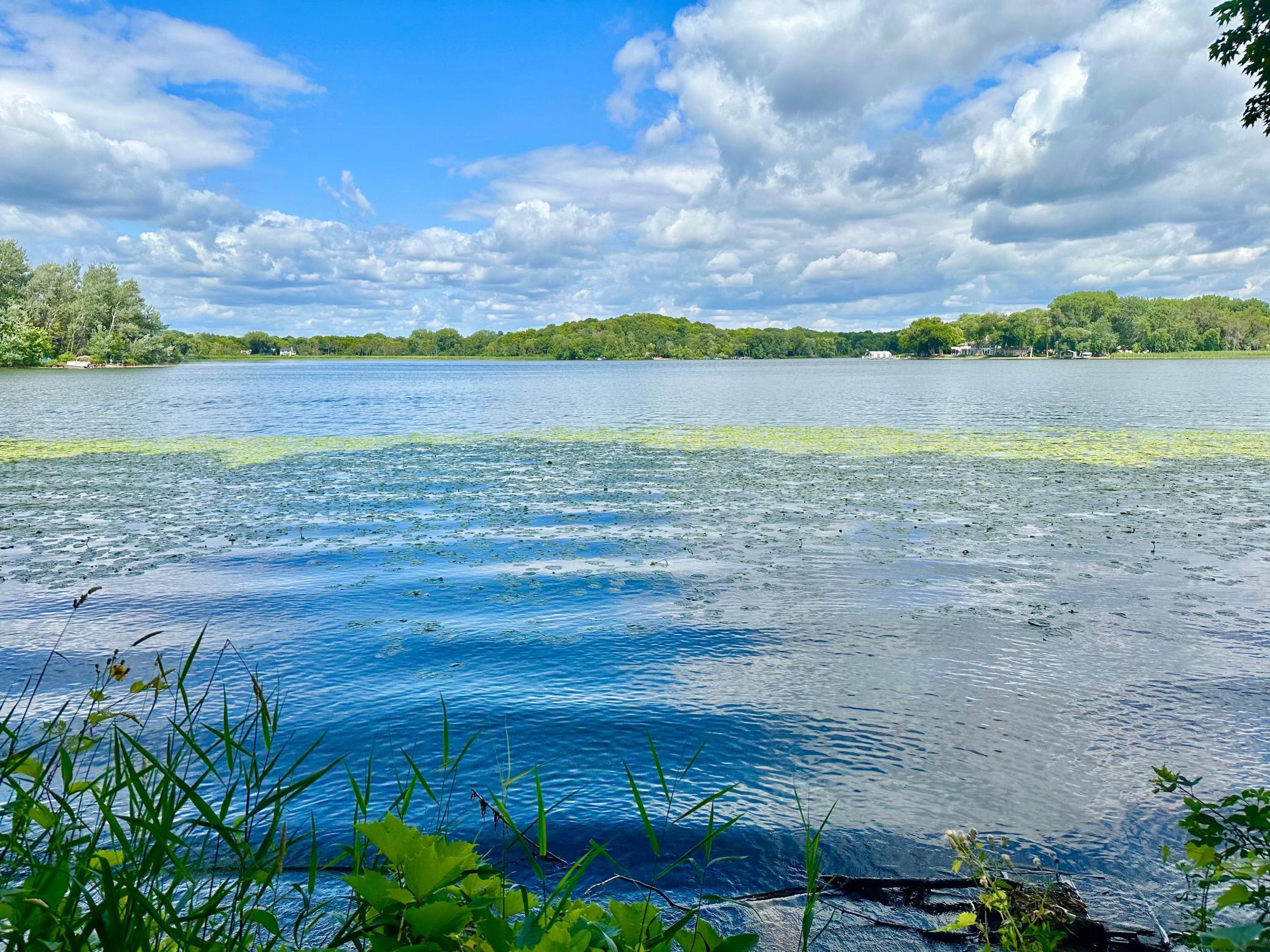 View of Land at 581 Fox Hill Drive, Chanhassen MN 55317, Chanhassen - Mike Wilen | Minnesota Team Real Estate