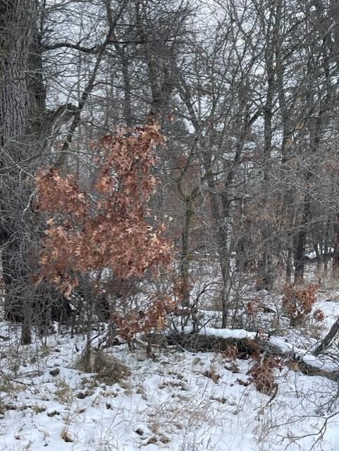View of Land at xxx 445th, Harris MN 55032, Harris - Mike Wilen | Minnesota Team Real Estate