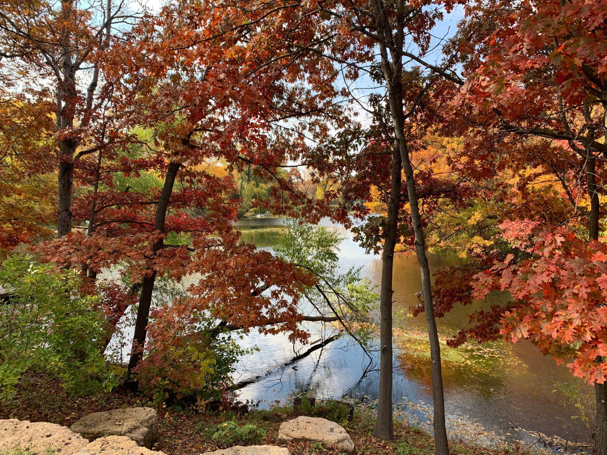 View of Residential at 4465 Ches Mar Circle, Eagan MN 55123, Eagan - Mike Wilen | Minnesota Team Real Estate