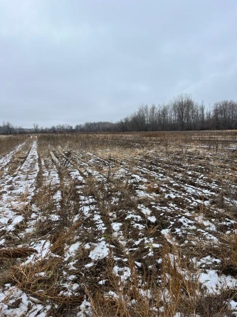 View of Land at 000 65th St Block 1 Lot 2, Princeton MN 55371, Princeton - Mike Wilen | Minnesota Team Real Estate