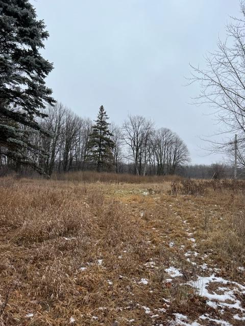 View of Land at 000 110th Ave Block 1 Lot 4, Princeton MN 55371, Princeton - Mike Wilen | Minnesota Team Real Estate