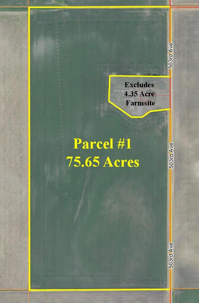 View of Land at 000 503rd Ave, Winthrop MN 55396, Winthrop - Mike Wilen | Minnesota Team Real Estate