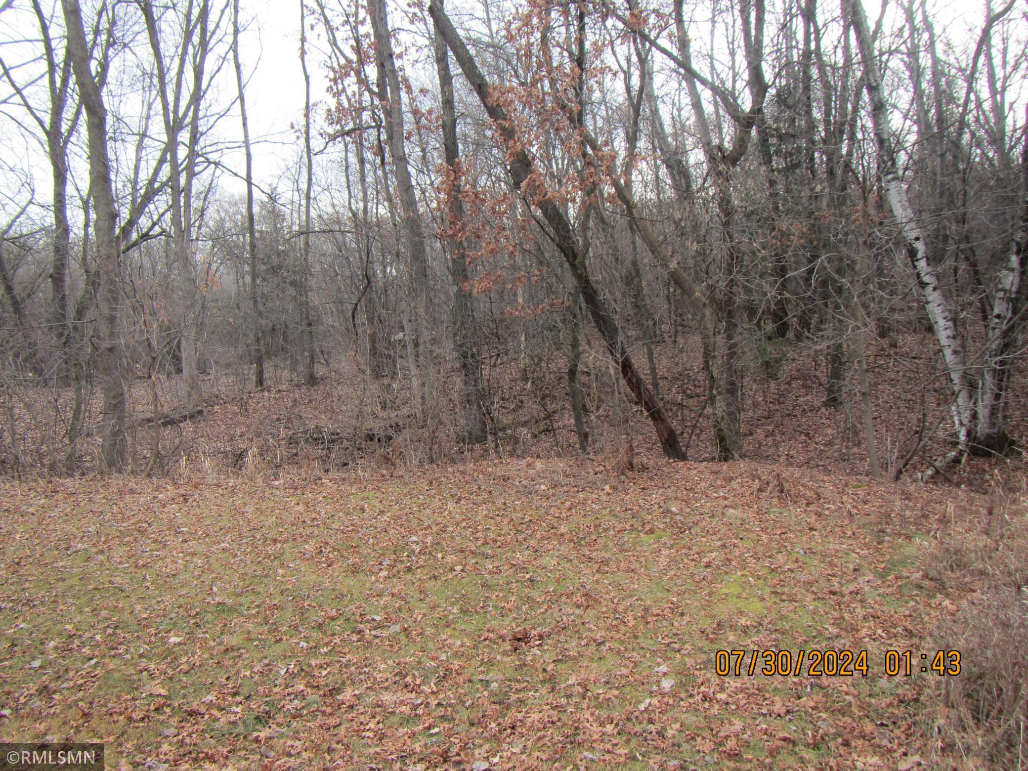 View of Land at 99XX 206th Street, Forest Lake MN 55025, Forest Lake - Mike Wilen | Minnesota Team Real Estate