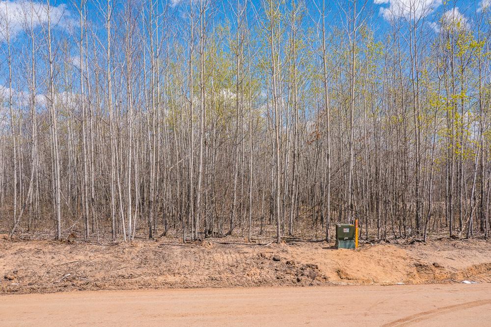 View of Residential at Lot 29 Sanctuary Path, Brainerd MN 56401, Brainerd (44 of 107) - Mike Wilen | Minnesota Team Real Estate