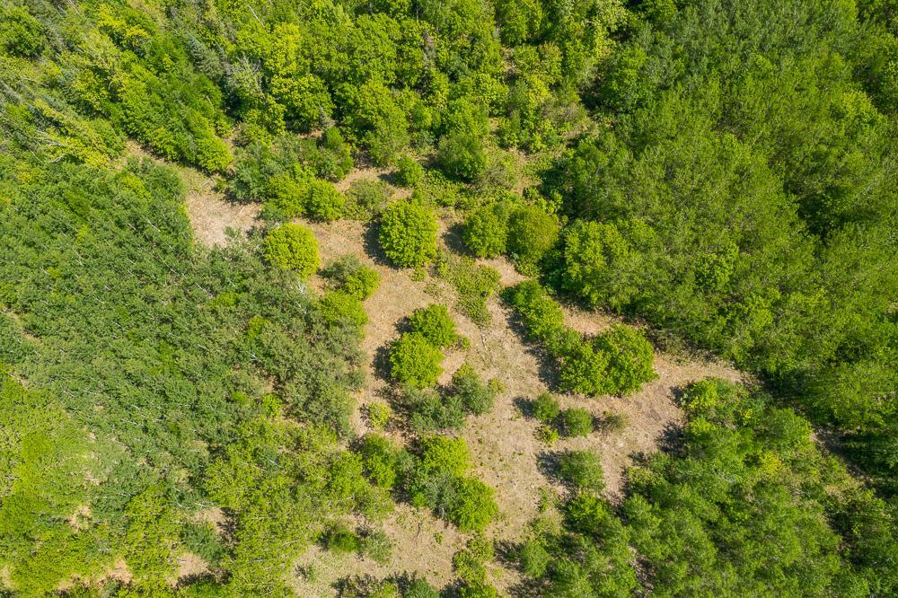 View of Residential at Lot 29 Sanctuary Path, Brainerd MN 56401, Brainerd (83 of 107) - Mike Wilen | Minnesota Team Real Estate