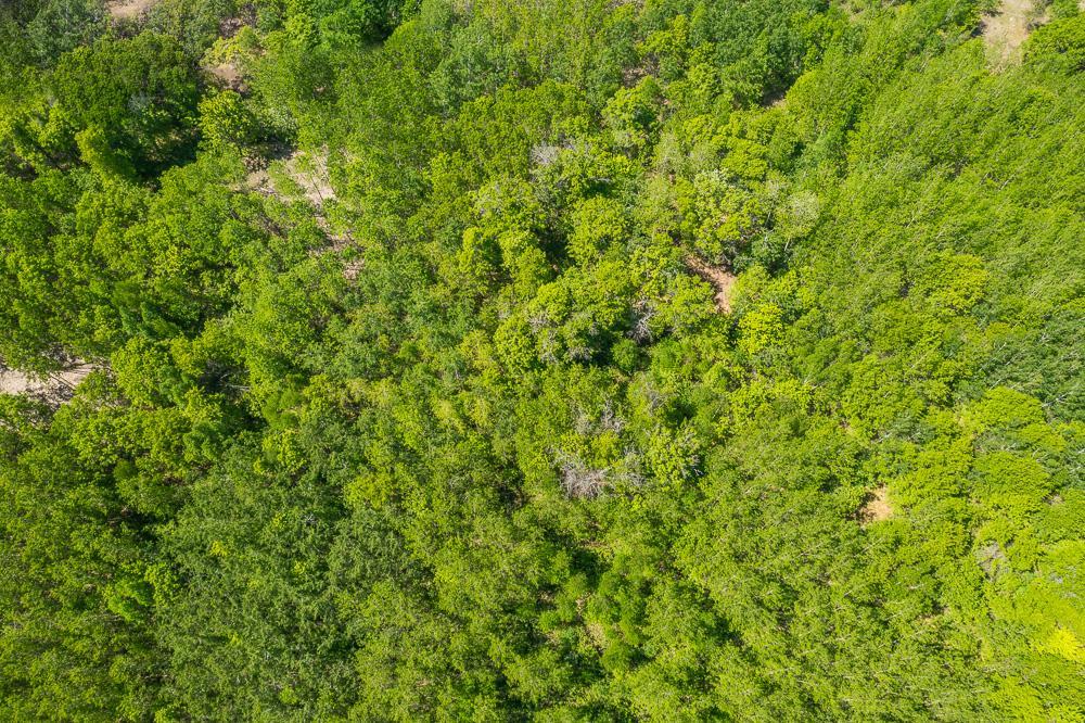 View of Residential at Lot 29 Sanctuary Path, Brainerd MN 56401, Brainerd (80 of 107) - Mike Wilen | Minnesota Team Real Estate