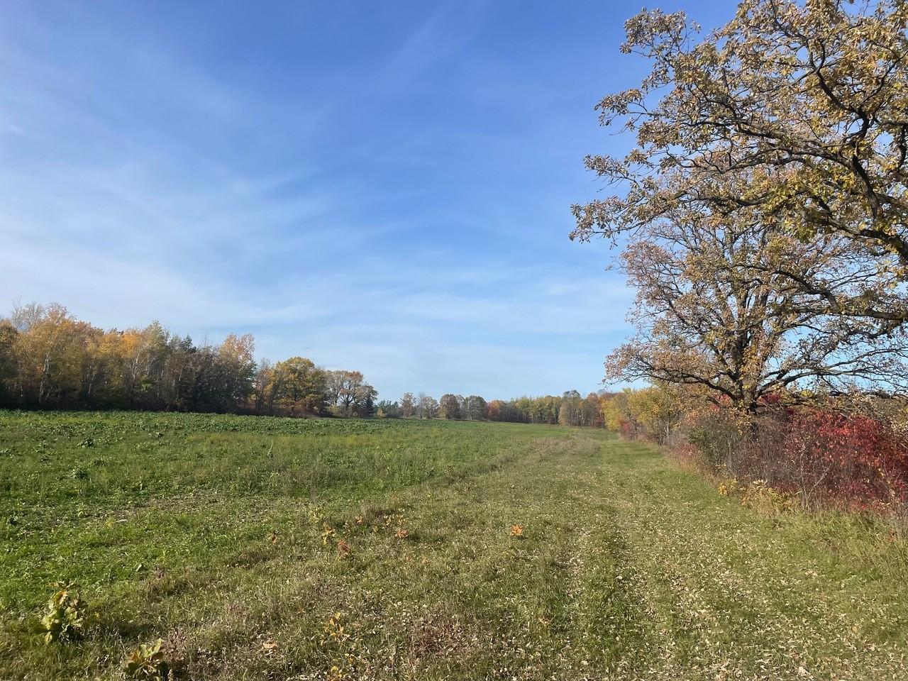 View of Land at 86 xxx 340th Street, Onamia MN 56359, Onamia - Mike Wilen | Minnesota Team Real Estate