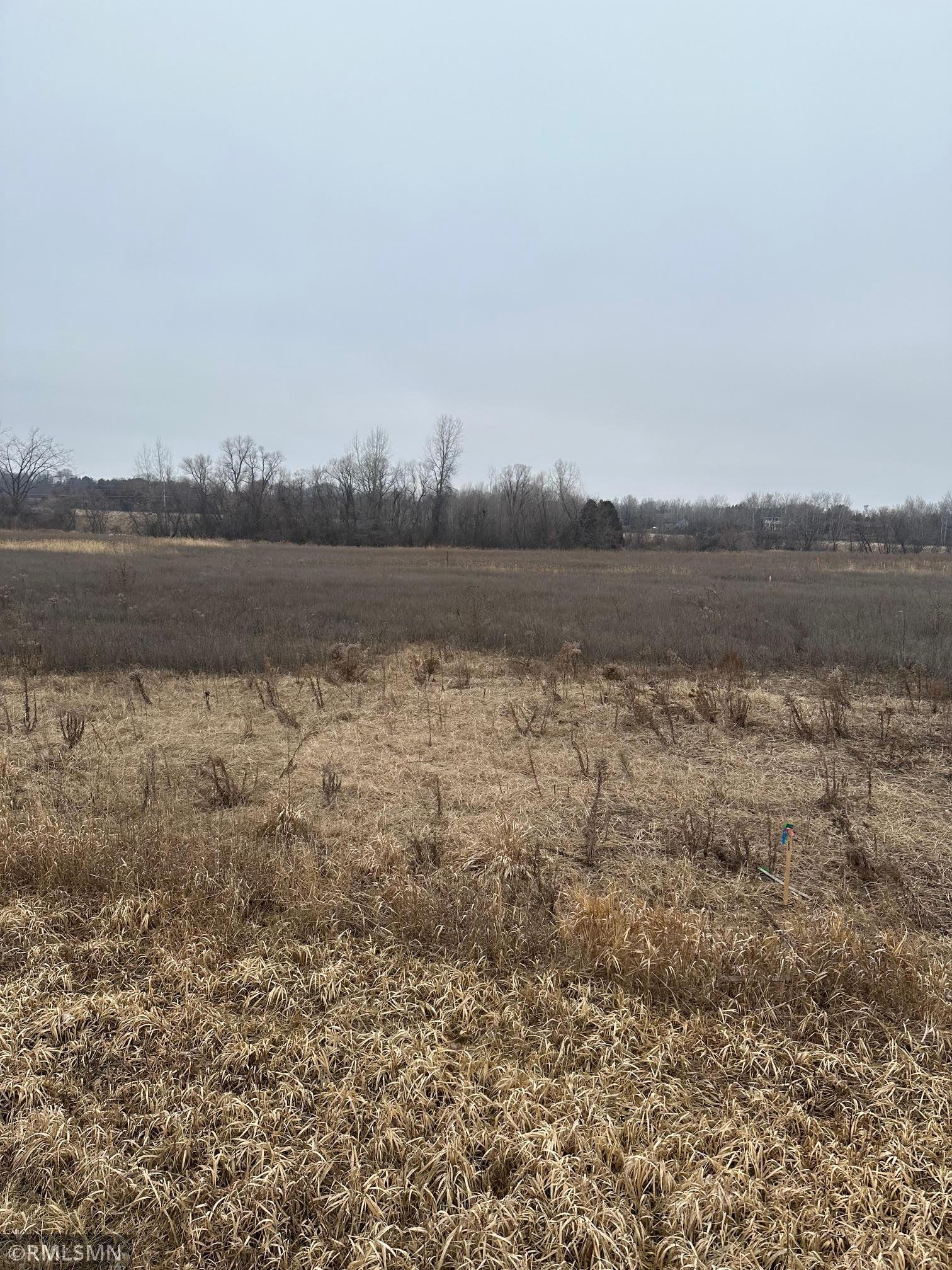 View of Land at 261x 317th Avenue, Cambridge MN 55008, Cambridge - Mike Wilen | Minnesota Team Real Estate
