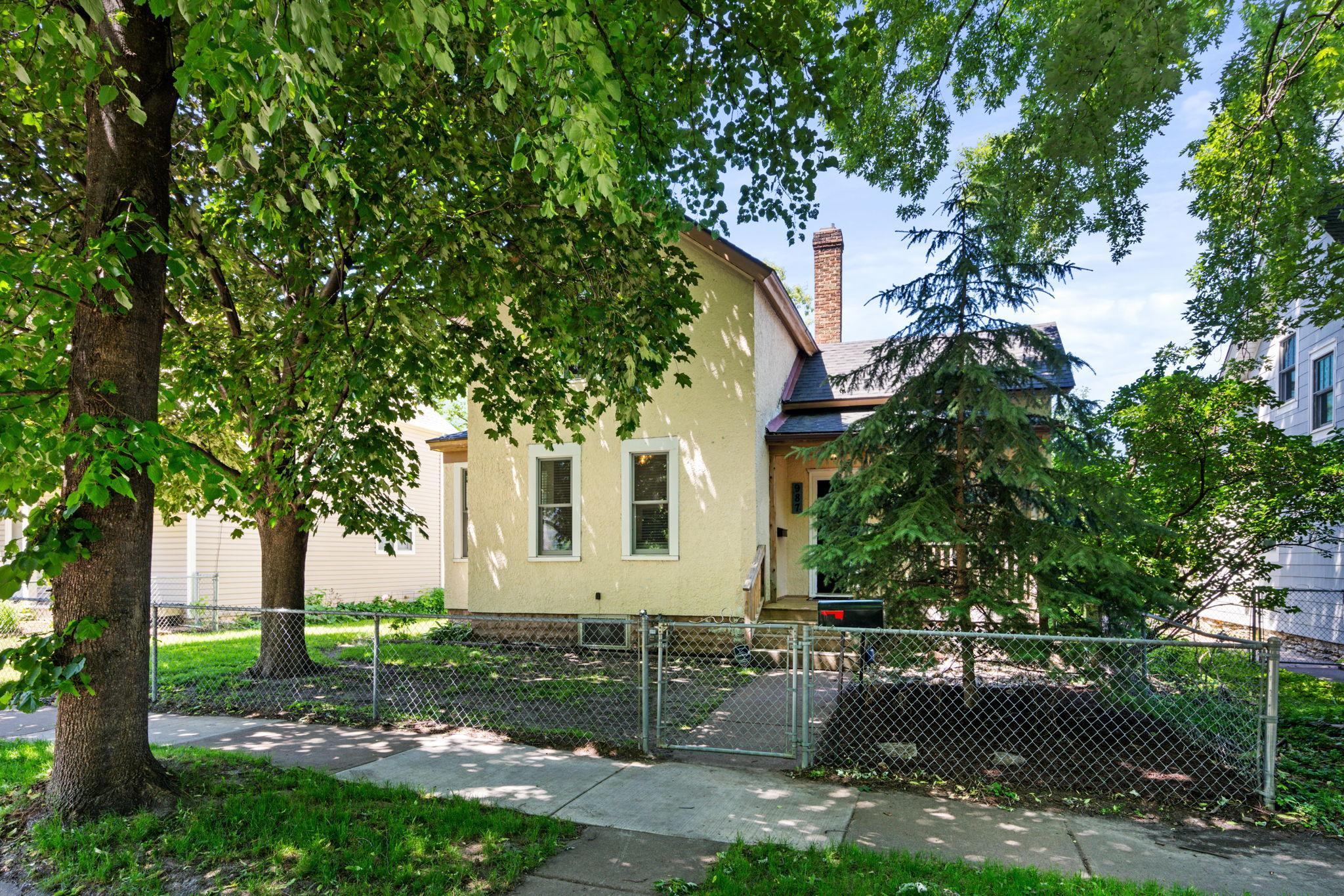 View of Residential at 987 Argyle Street, Saint Paul MN 55103, Saint Paul - Mike Wilen | Minnesota Team Real Estate