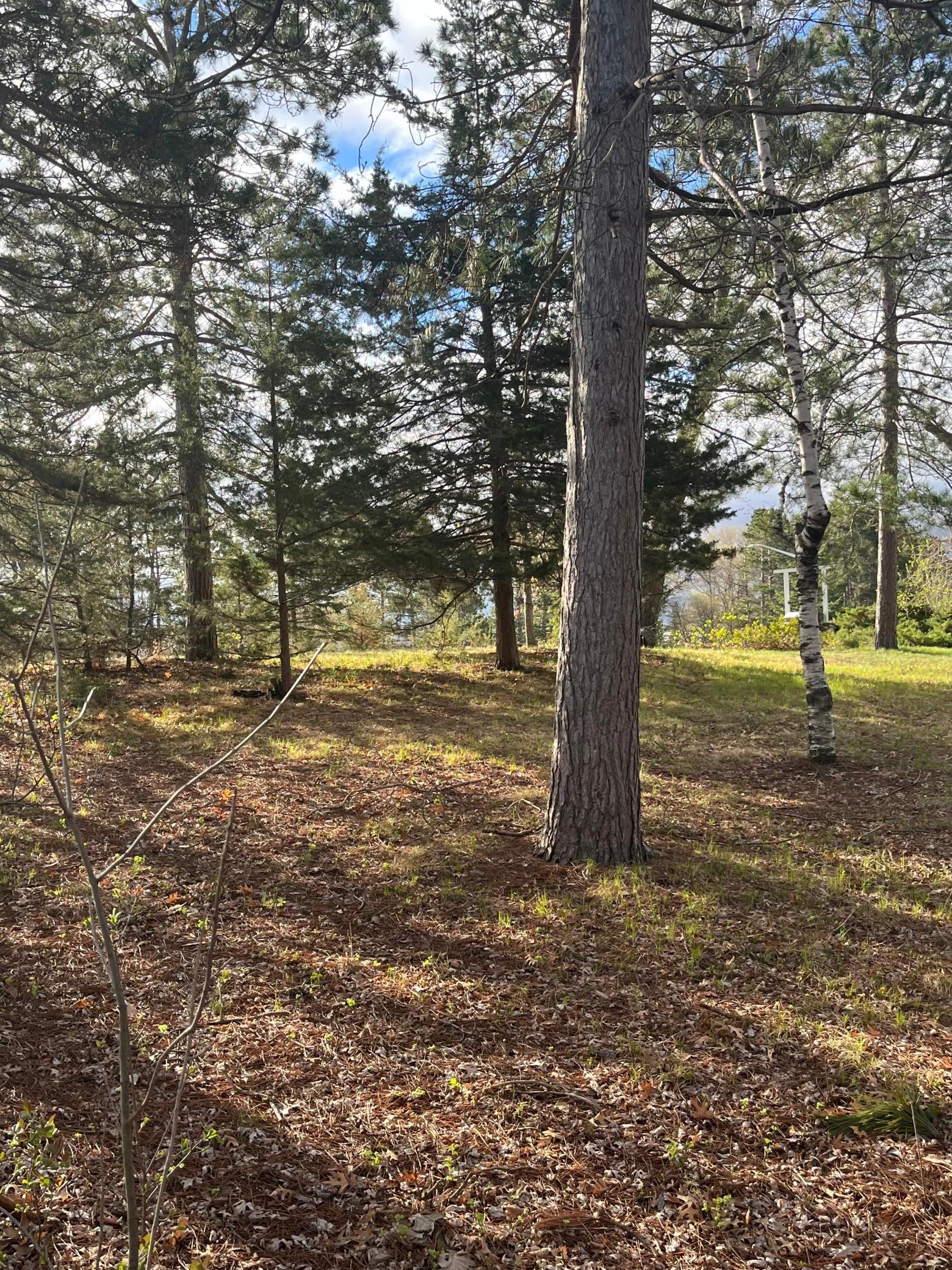 View of Land at 2745 Main Street, Cambridge MN 55008, Cambridge - Mike Wilen | Minnesota Team Real Estate