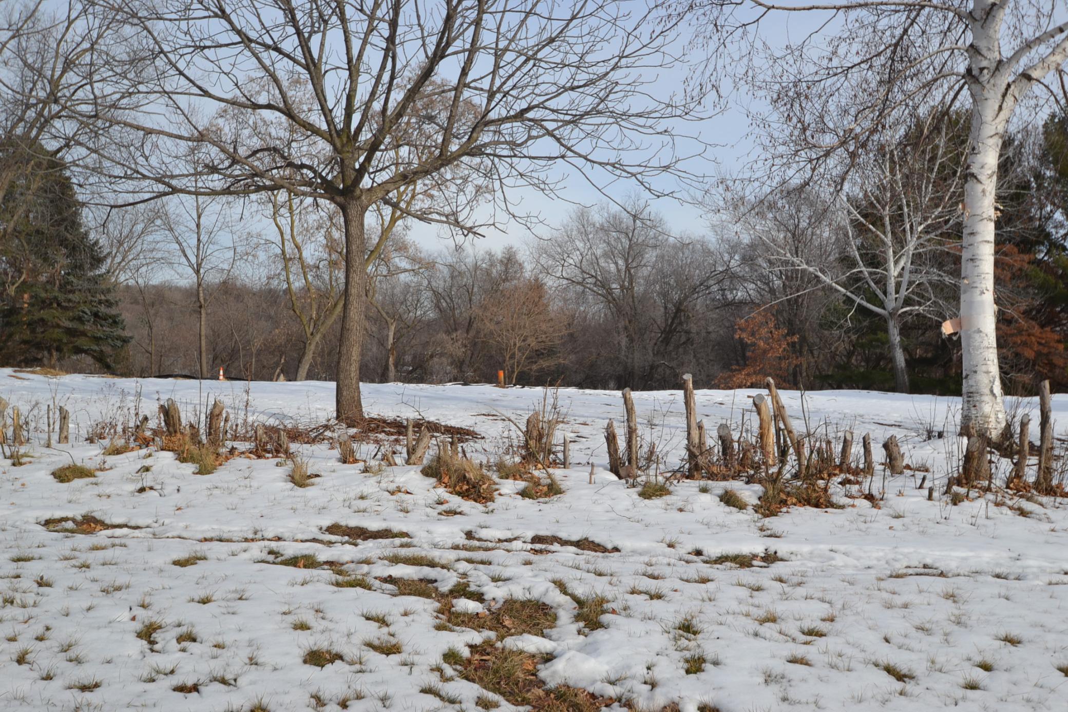 View of Land at xxxx Noel Drive, Little Canada MN 55117, Little Canada - Mike Wilen | Minnesota Team Real Estate