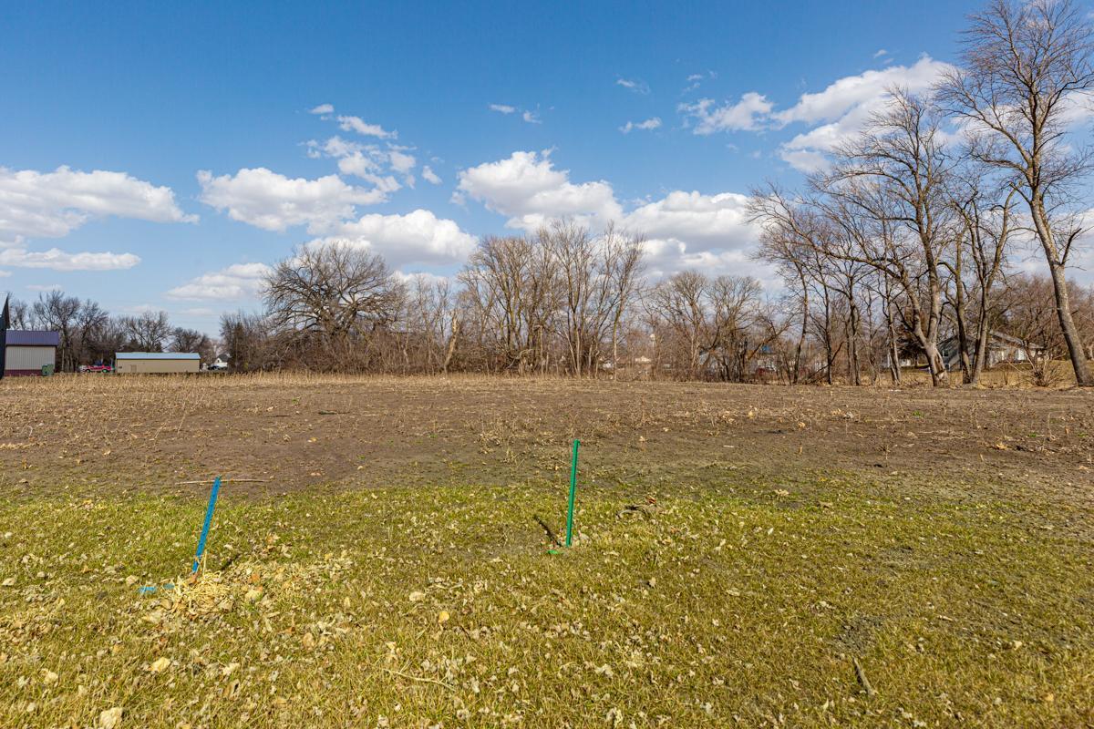 View of Land at XXXX Lewis Lane, Elysian MN 56028, Elysian - Mike Wilen | Minnesota Team Real Estate