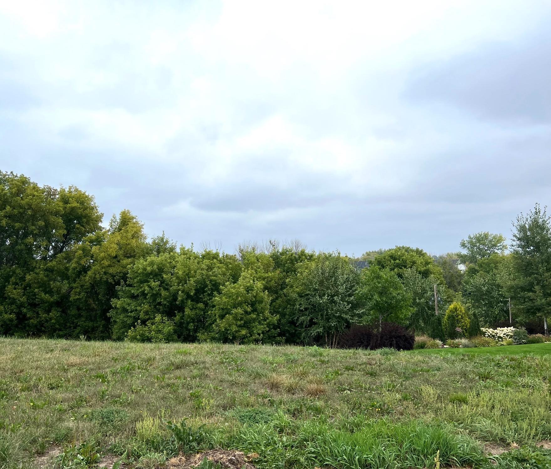 View of Land at 9070 Lakeside Drive, Victoria MN 55386, Victoria - Mike Wilen | Minnesota Team Real Estate