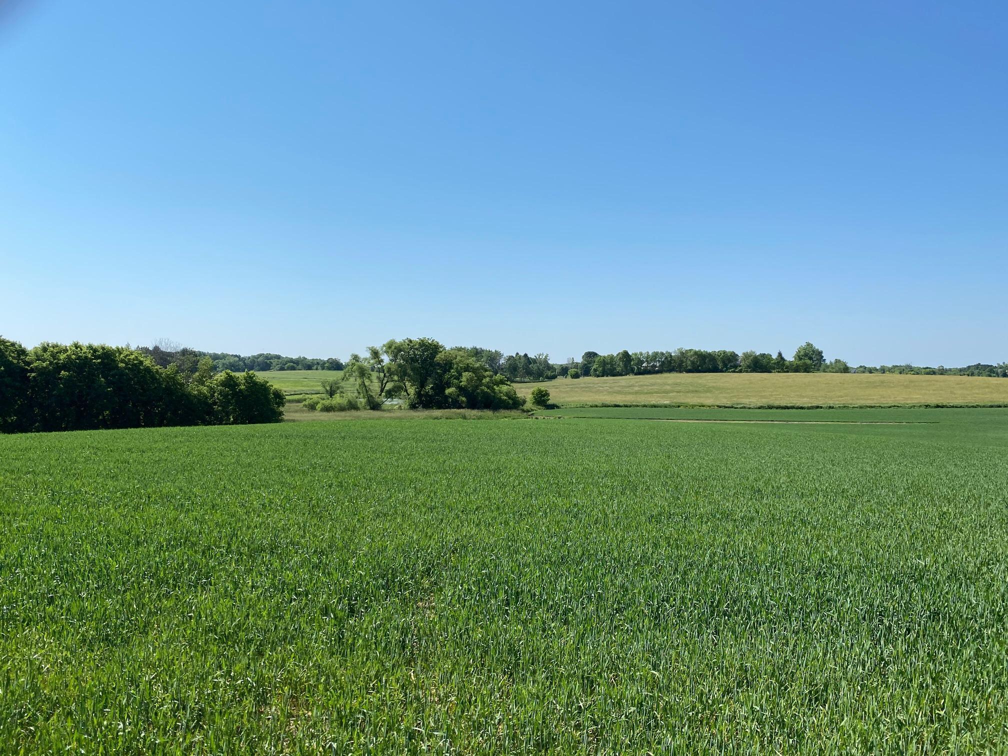 View of Land at 2535 Pioneer Trail, Medina MN 55340, Medina (15 of 16) - Mike Wilen | Minnesota Team Real Estate