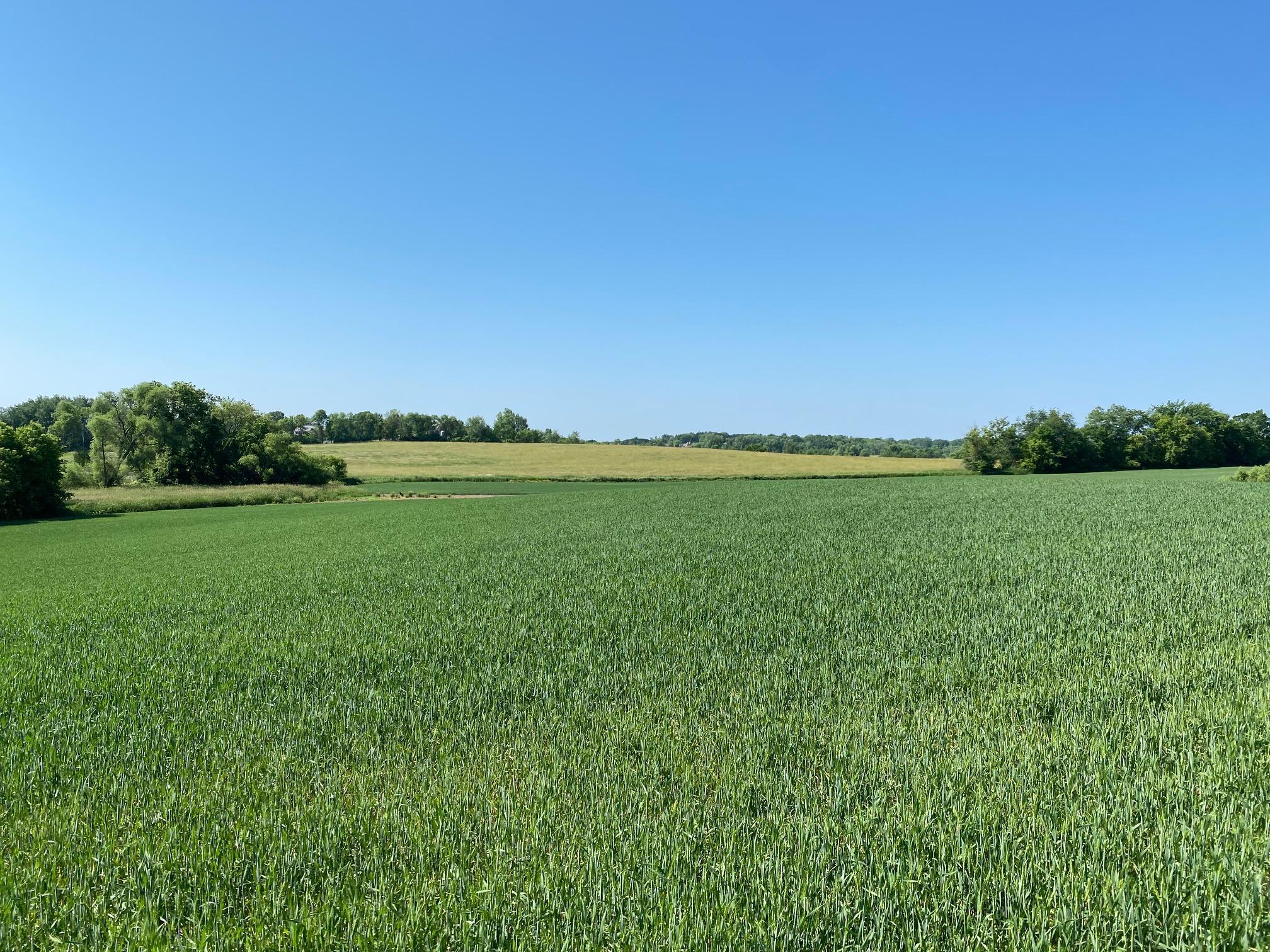 View of Land at 2535 Pioneer Trail, Medina MN 55340, Medina (12 of 16) - Mike Wilen | Minnesota Team Real Estate