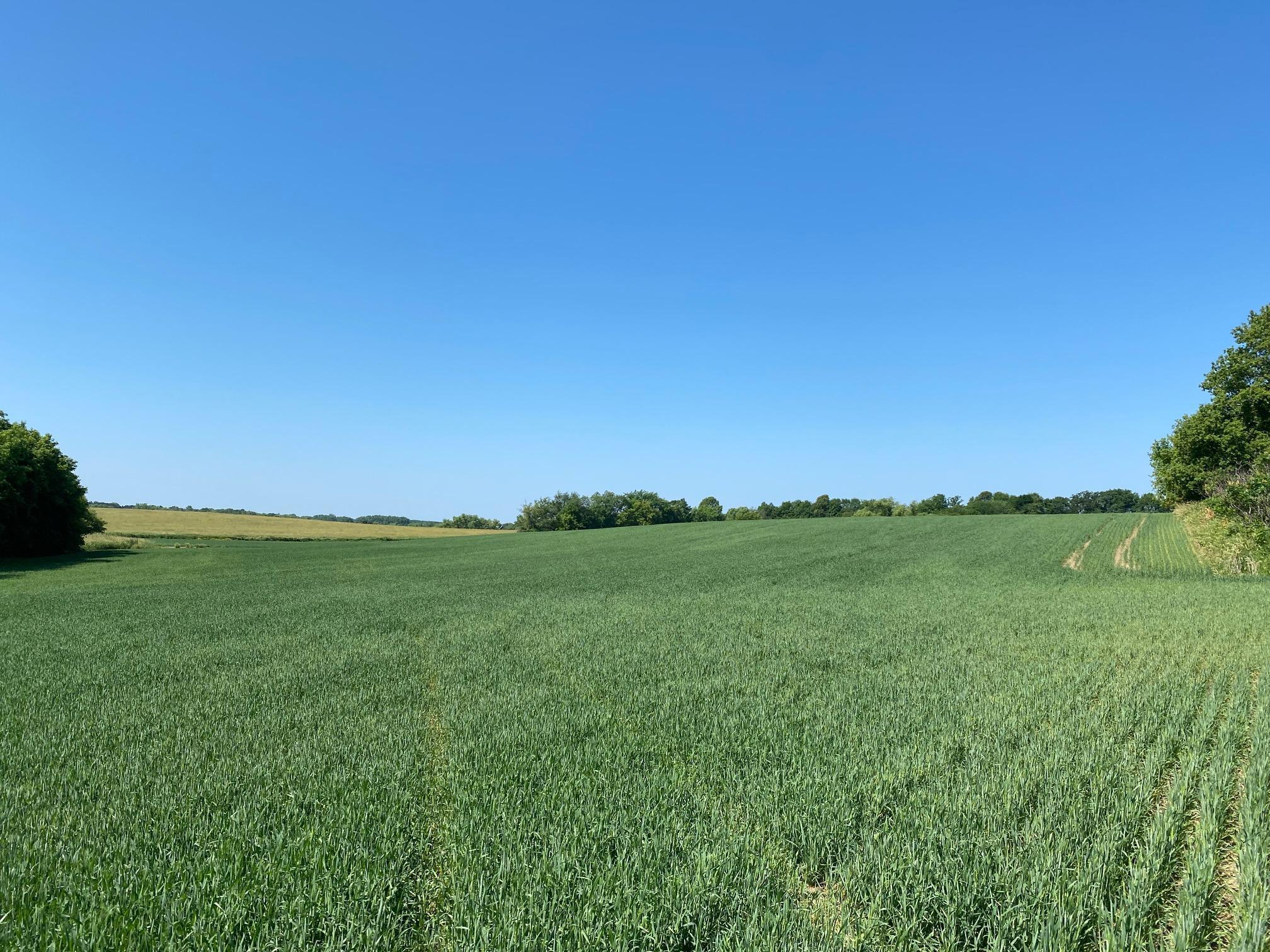 View of Land at 2535 Pioneer Trail, Medina MN 55340, Medina (11 of 16) - Mike Wilen | Minnesota Team Real Estate