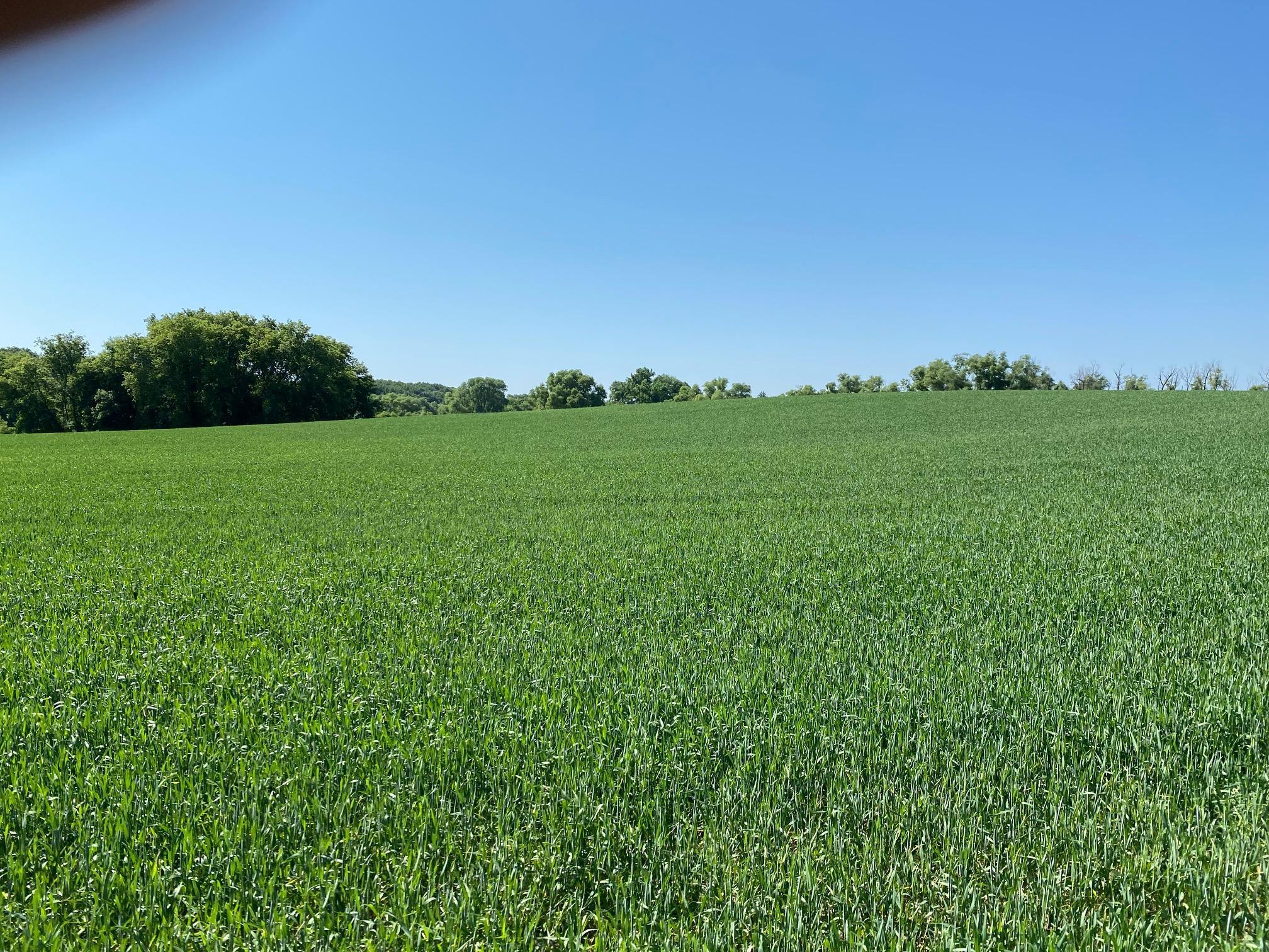 View of Land at 2535 Pioneer Trail, Medina MN 55340, Medina (10 of 16) - Mike Wilen | Minnesota Team Real Estate