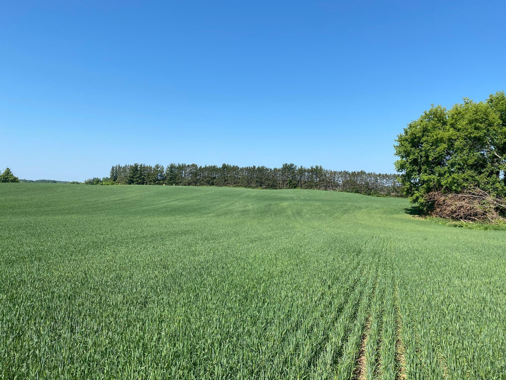 View of Land at 2535 Pioneer Trail, Medina MN 55340, Medina (9 of 16) - Mike Wilen | Minnesota Team Real Estate