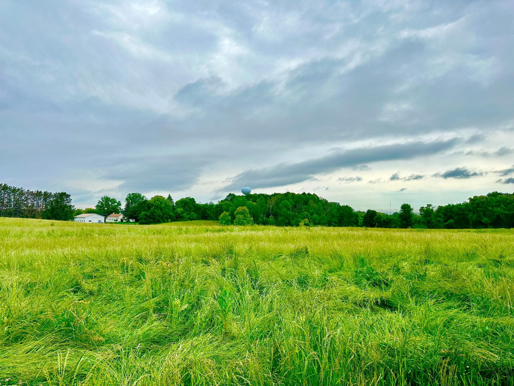 View of Land at 2535 Pioneer Trail, Medina MN 55340, Medina (2 of 16) - Mike Wilen | Minnesota Team Real Estate