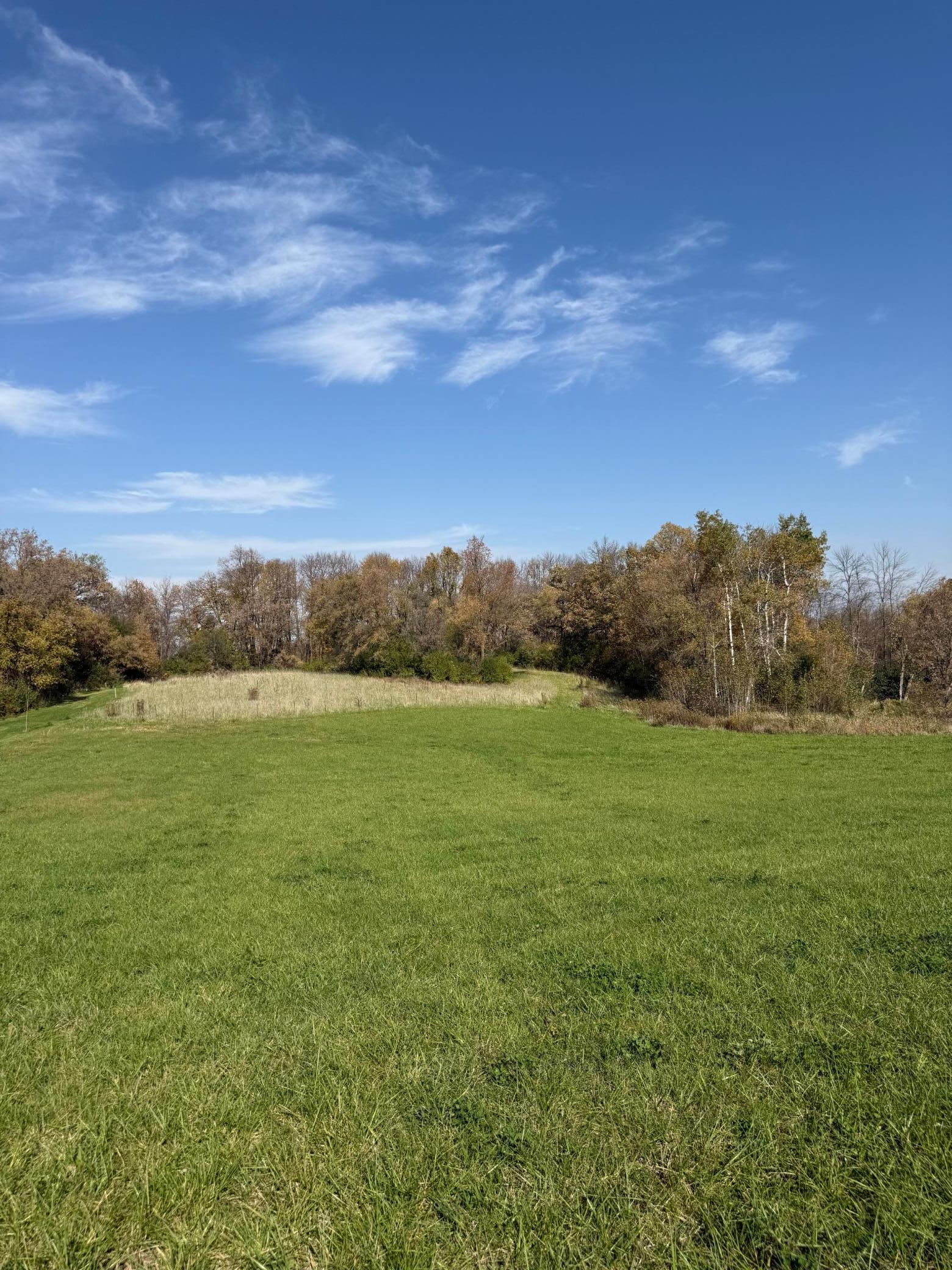 View of Land at 2535 Pioneer Trail, Medina MN 55340, Medina (2 of 20) - Mike Wilen | Minnesota Team Real Estate