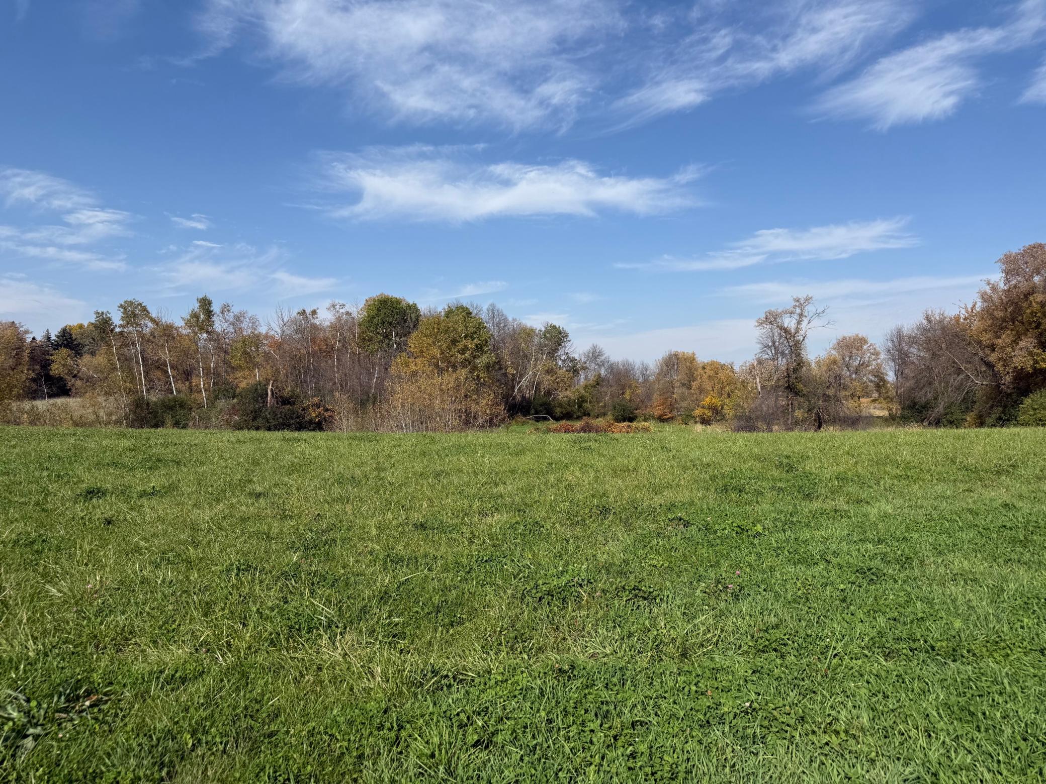 View of Land at 2535 Pioneer Trail, Medina MN 55340, Medina (3 of 20) - Mike Wilen | Minnesota Team Real Estate