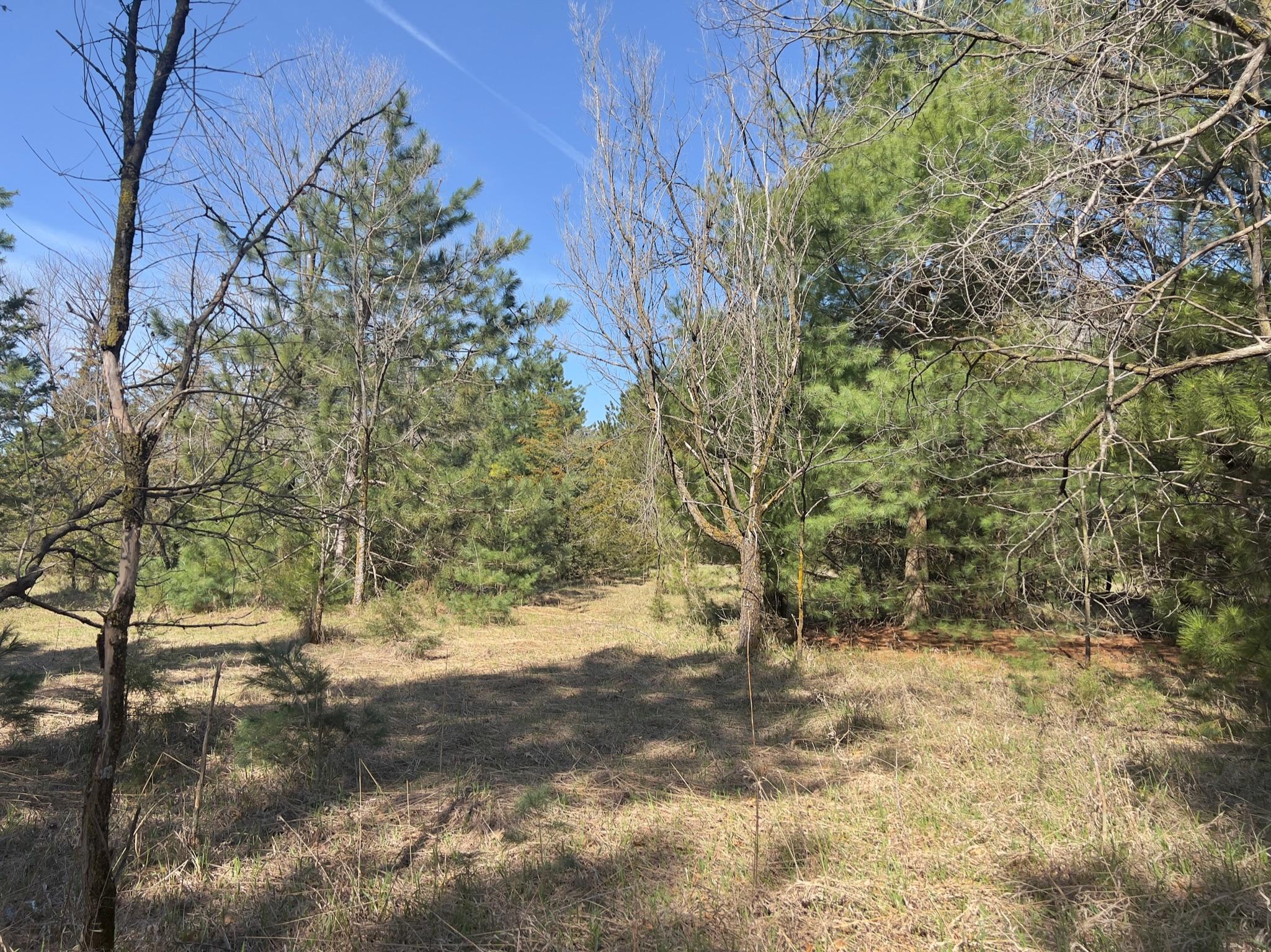 View of Land at 17878 Co Rd 43, Big Lake MN 55309, Big Lake - Mike Wilen | Minnesota Team Real Estate