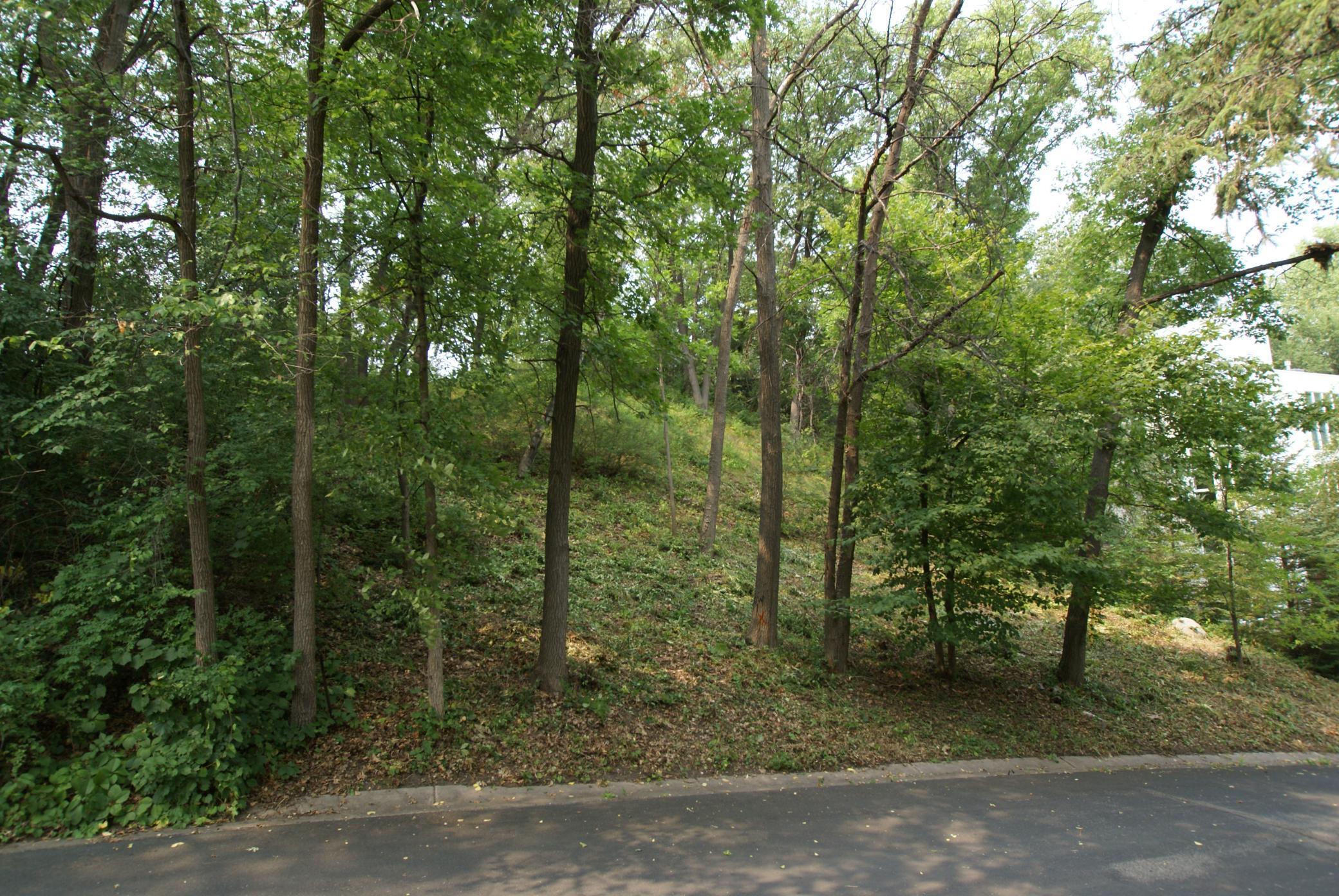 View of Land at 1408 Alpine Pass, Golden Valley MN 55416, Golden Valley (3 of 26) - Mike Wilen | Minnesota Team Real Estate