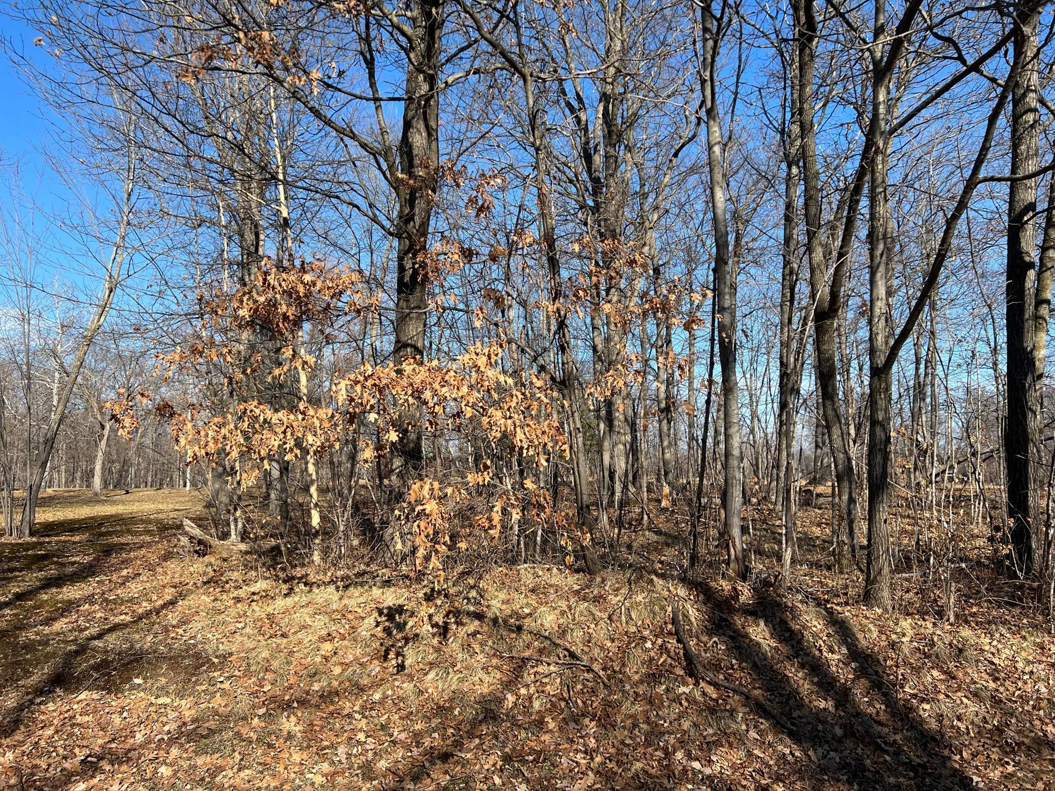 View of Land at 473XX Golf Circle, Garrison MN 56450, Garrison - Mike Wilen | Minnesota Team Real Estate