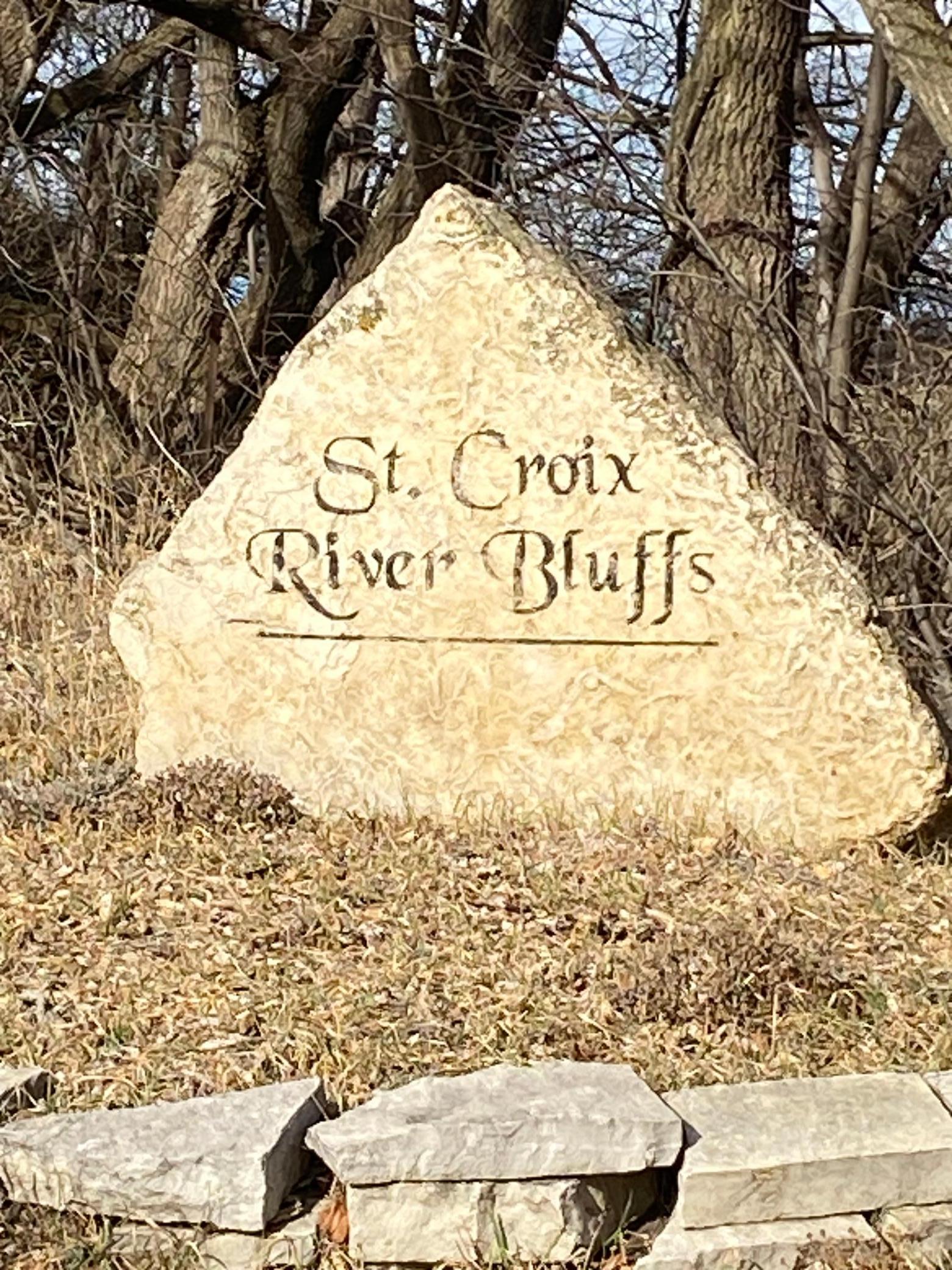 View of Land at X Shamrock Lane, Shafer MN 55074, Shafer - Mike Wilen | Minnesota Team Real Estate