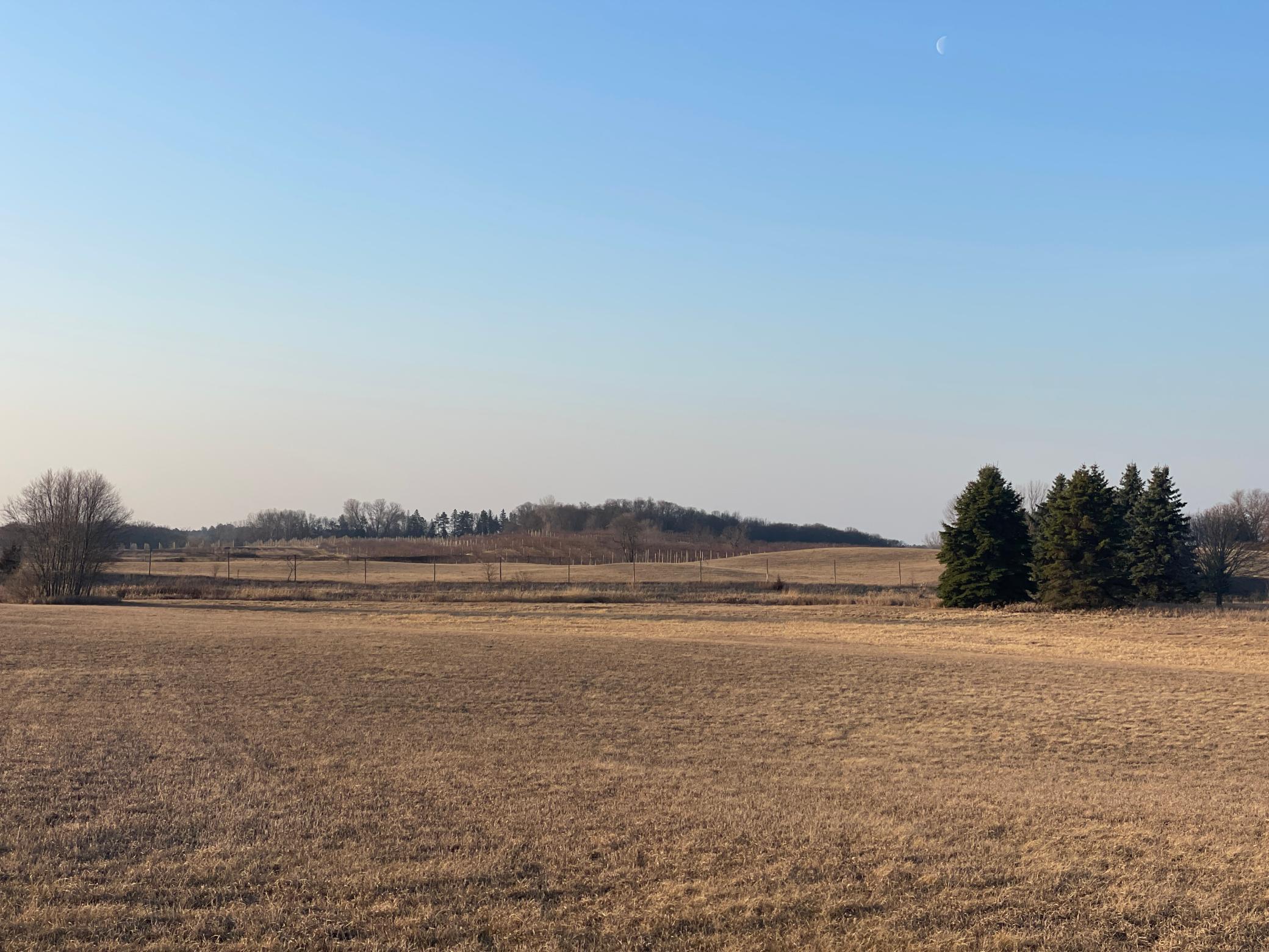 View of Land at XXX Honeye Ave, Grant MN 55082, Grant - Mike Wilen | Minnesota Team Real Estate
