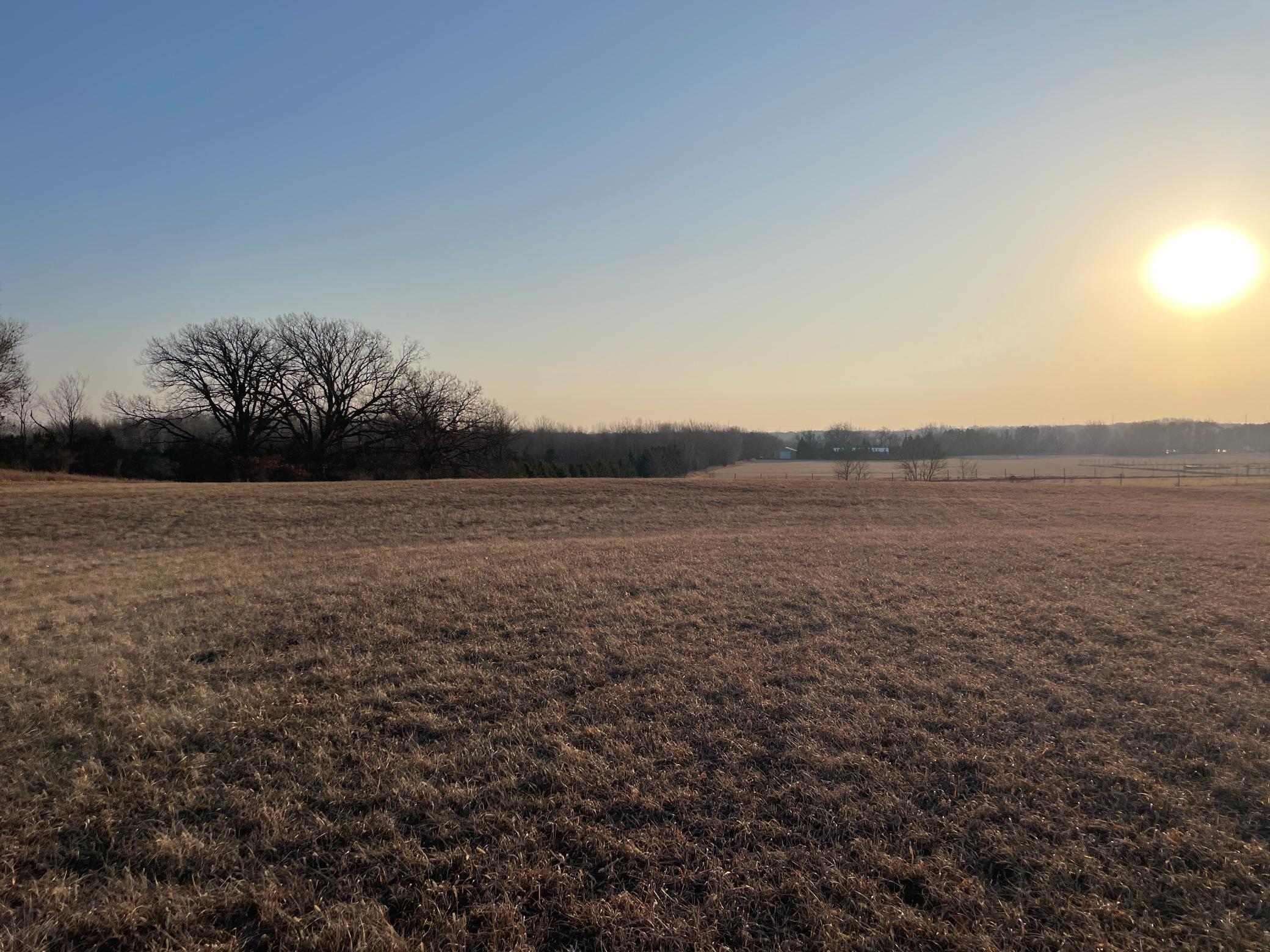 View of Land at XXXX Honeye Ave, Grant MN 55082, Grant - Mike Wilen | Minnesota Team Real Estate