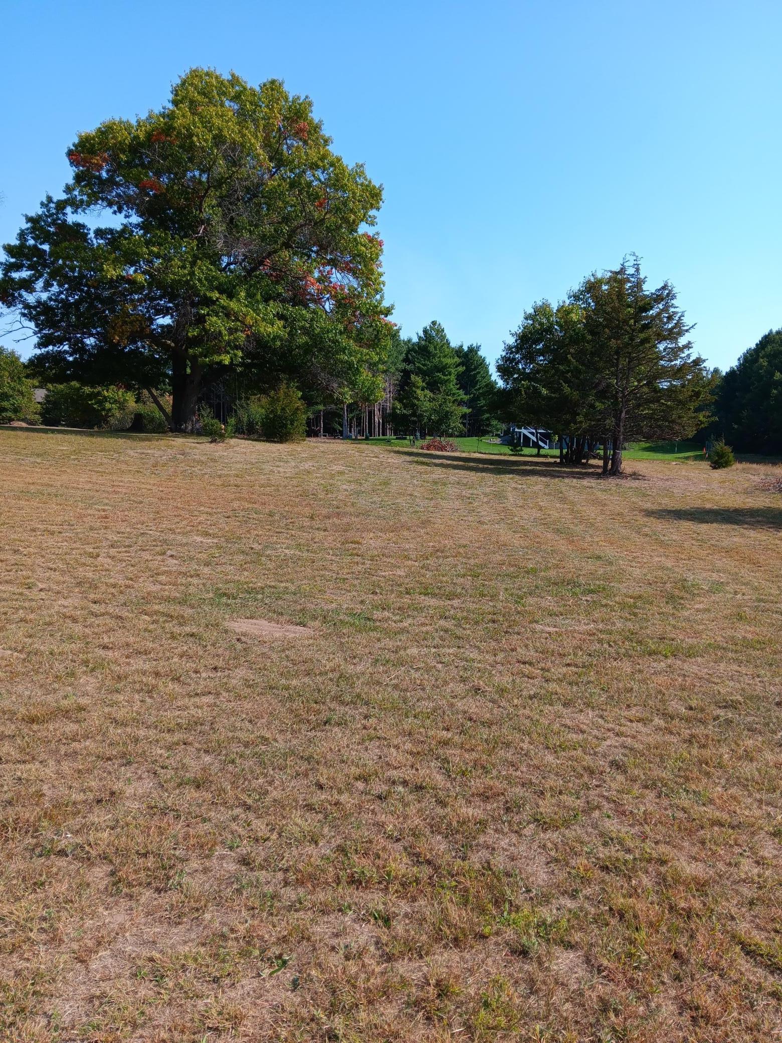 View of Land at xxx 245th Avenue, East Bethel MN 55040, East Bethel - Mike Wilen | Minnesota Team Real Estate