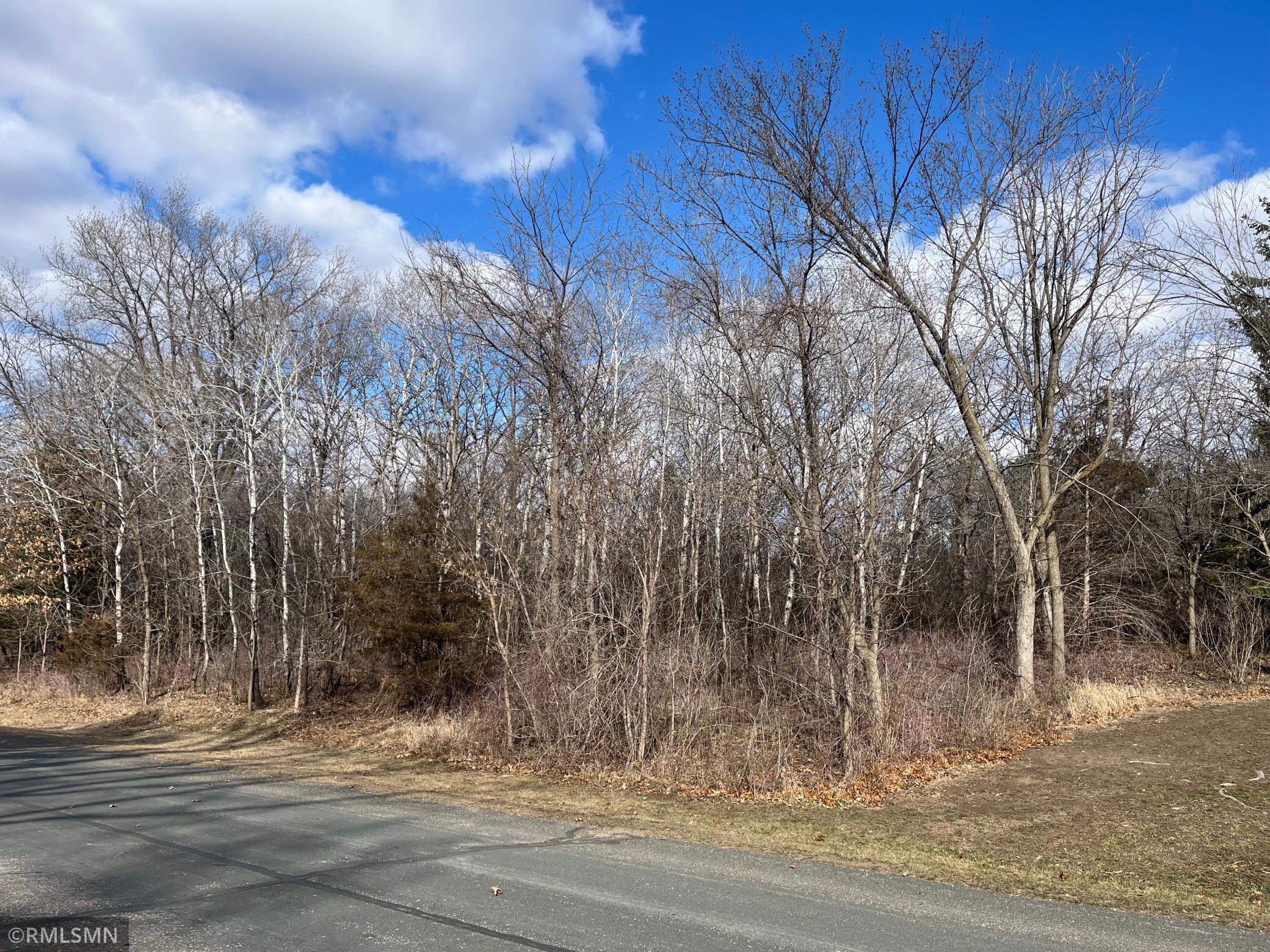 View of Land at tbd Putting Avenue, Hastings MN 55033, Hastings - Mike Wilen | Minnesota Team Real Estate