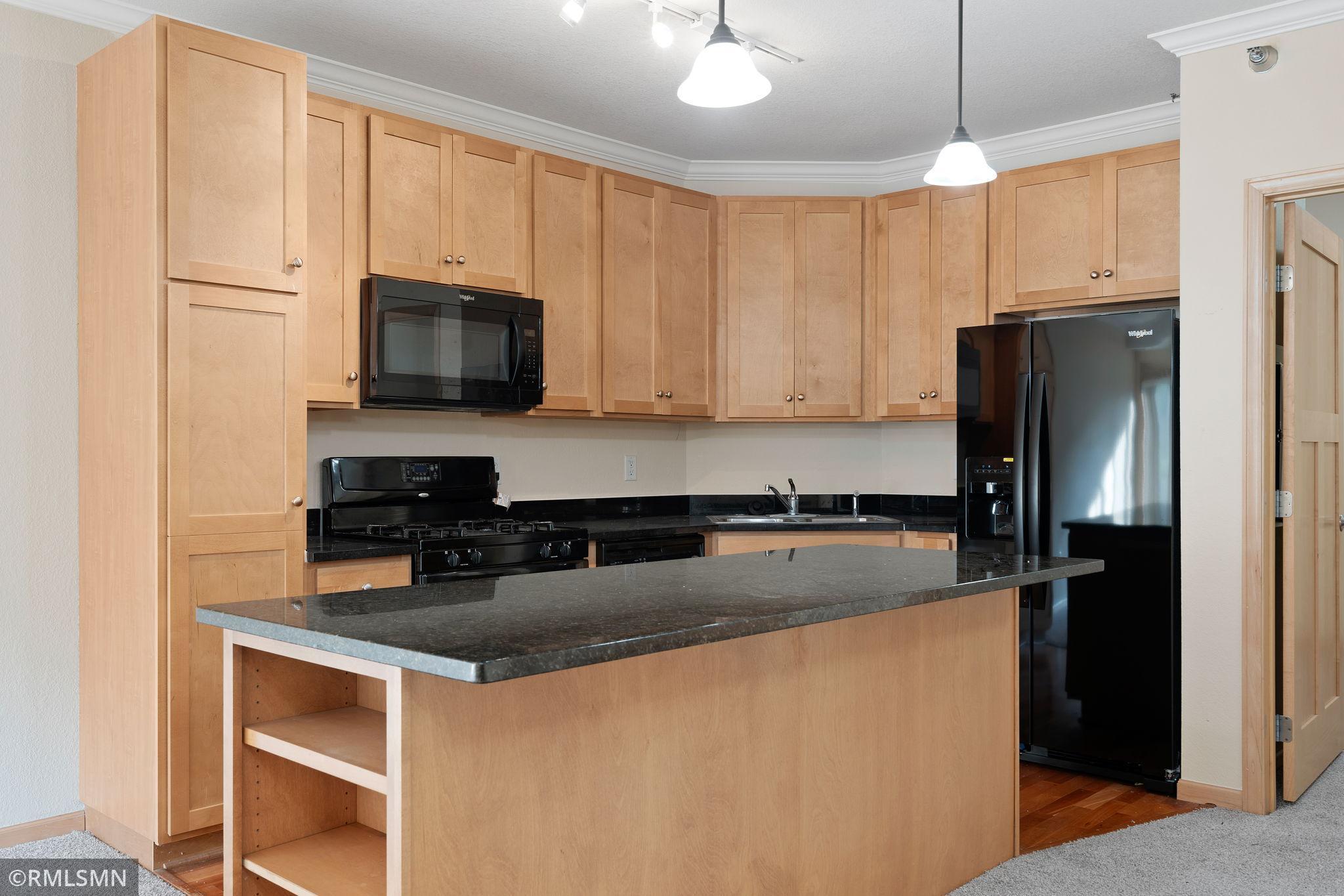 View of Residential at 1155 Ford Road #204, Saint Louis Park MN 55426, Saint Louis Park - Mike Wilen | Minnesota Team Real Estate